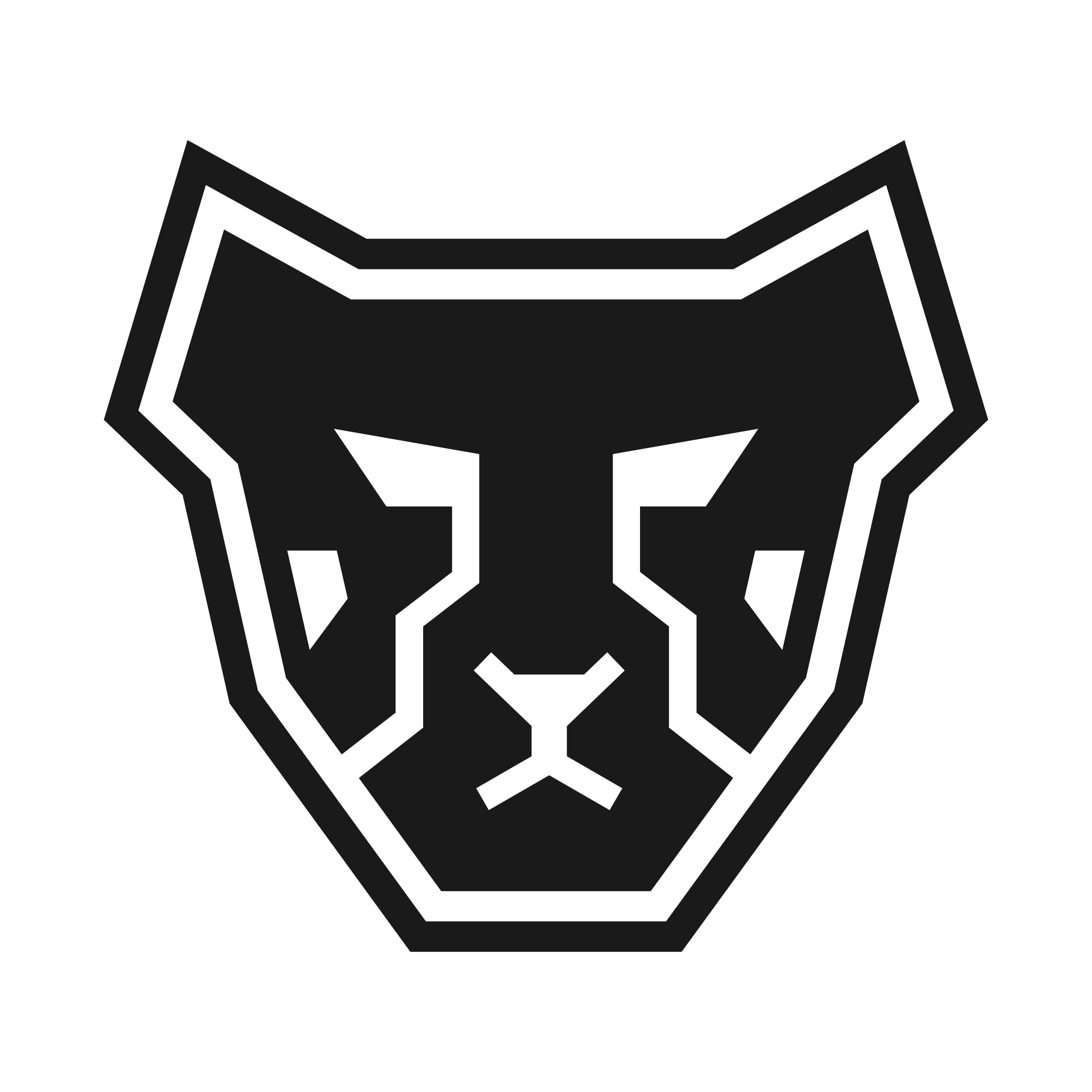 Black geometric lion's head logo with angular lines on a black background.