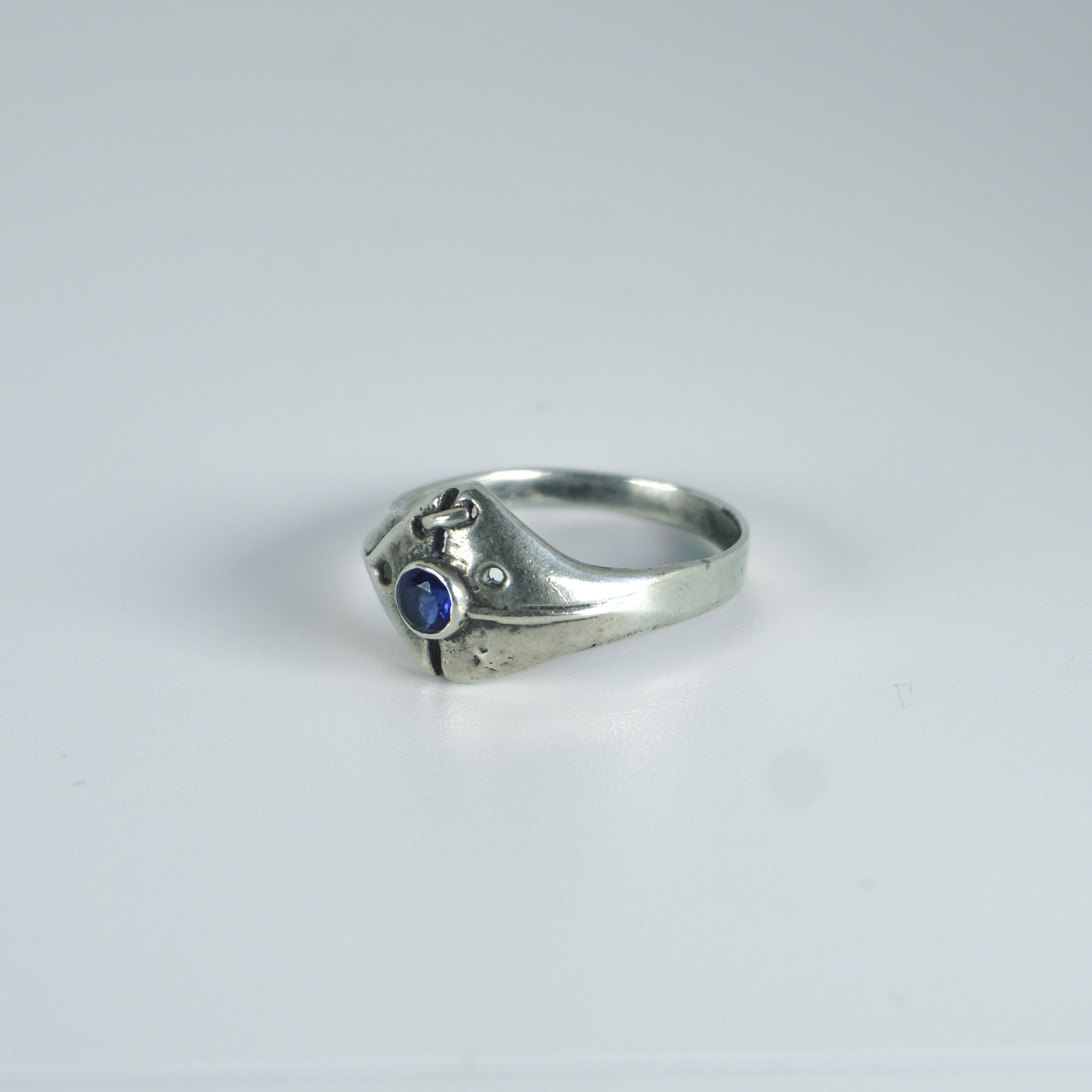 Pro-Capture One 0291 1.jpg