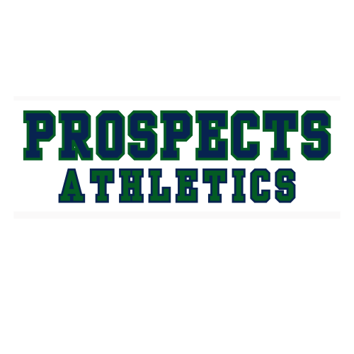 CANNONS BASEBALL EXPERIENCES