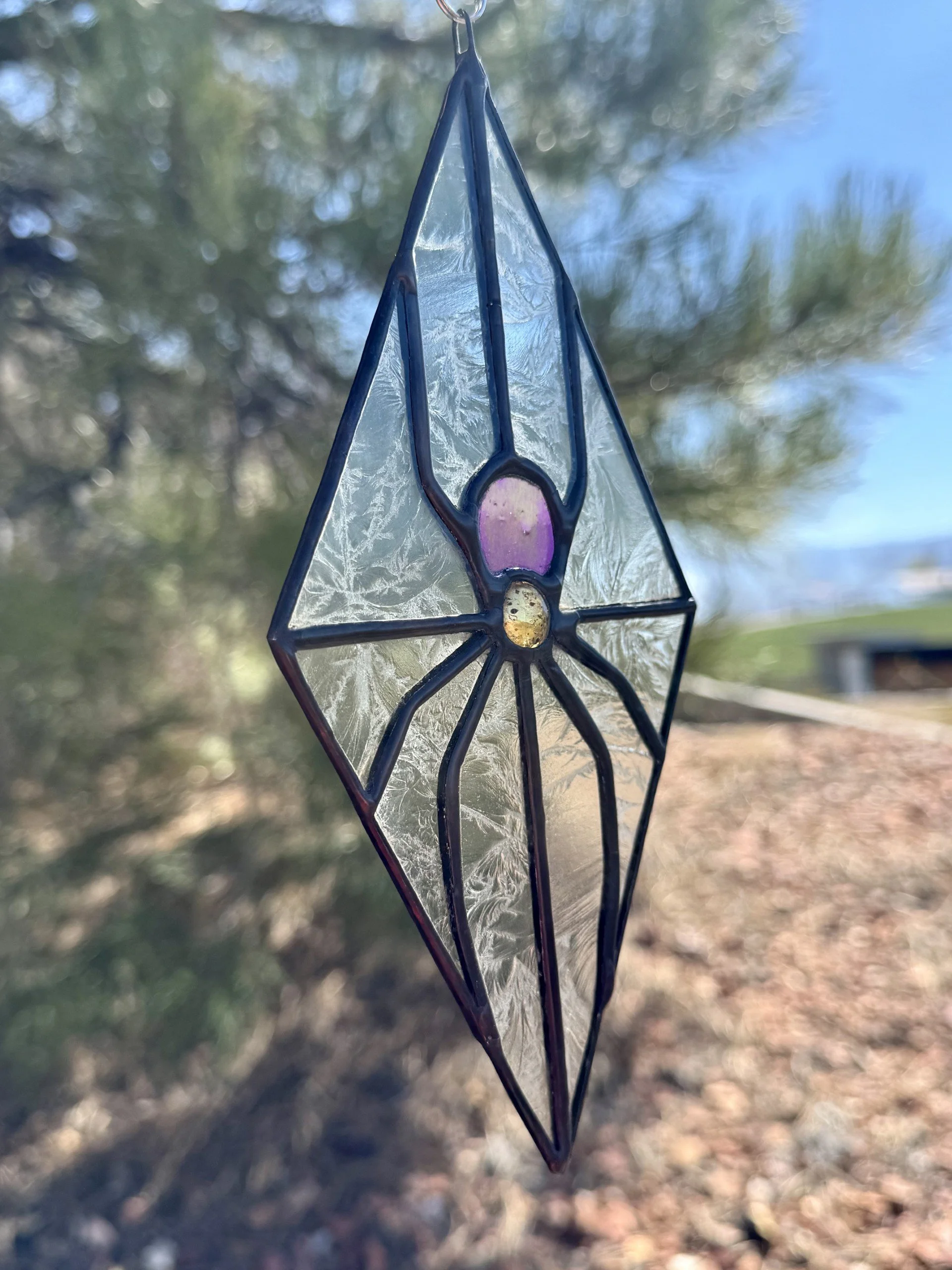 Purple and Gold Spider