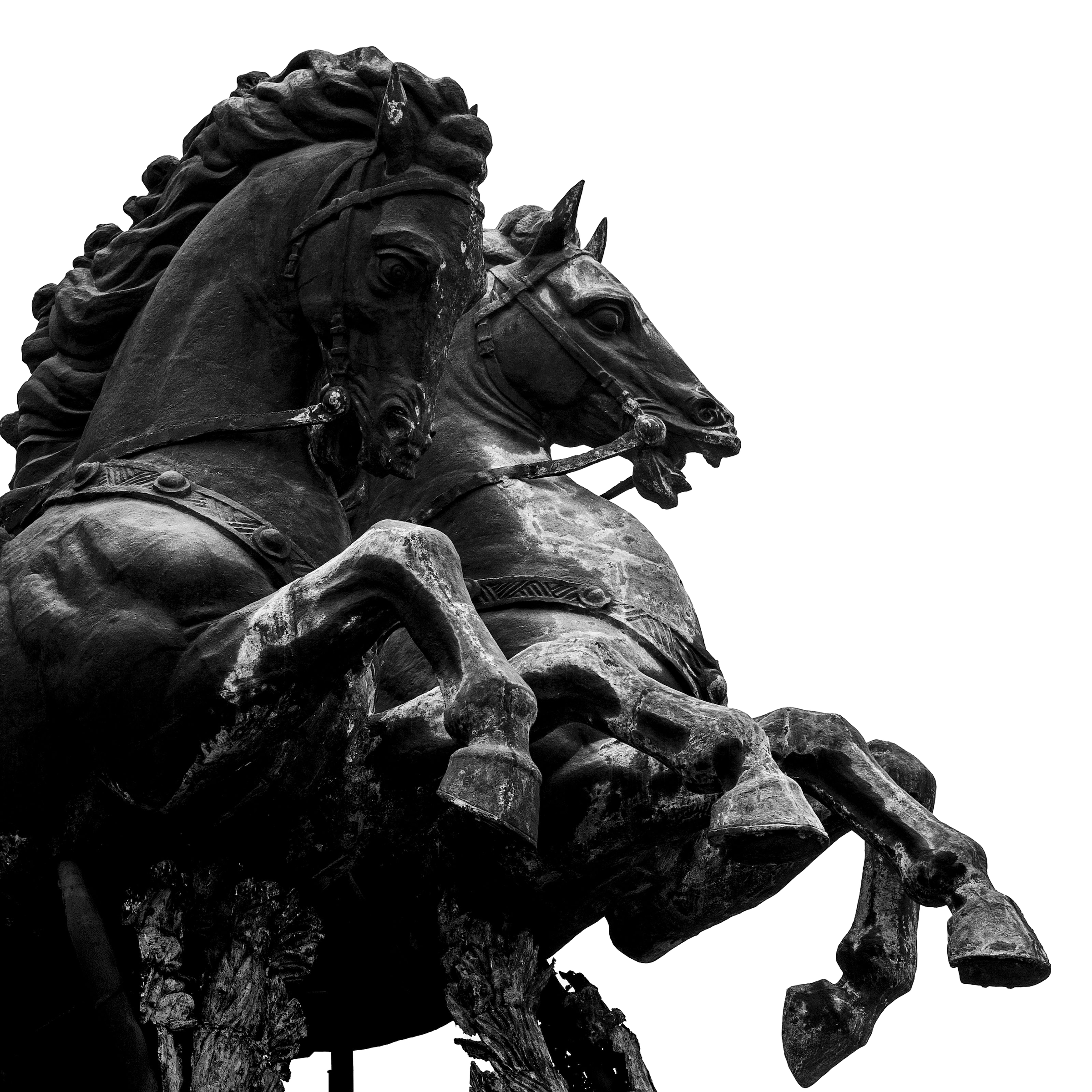 Close-up of a bronze statue of two horses rearing up, detail of sculpted manes and bridles.
