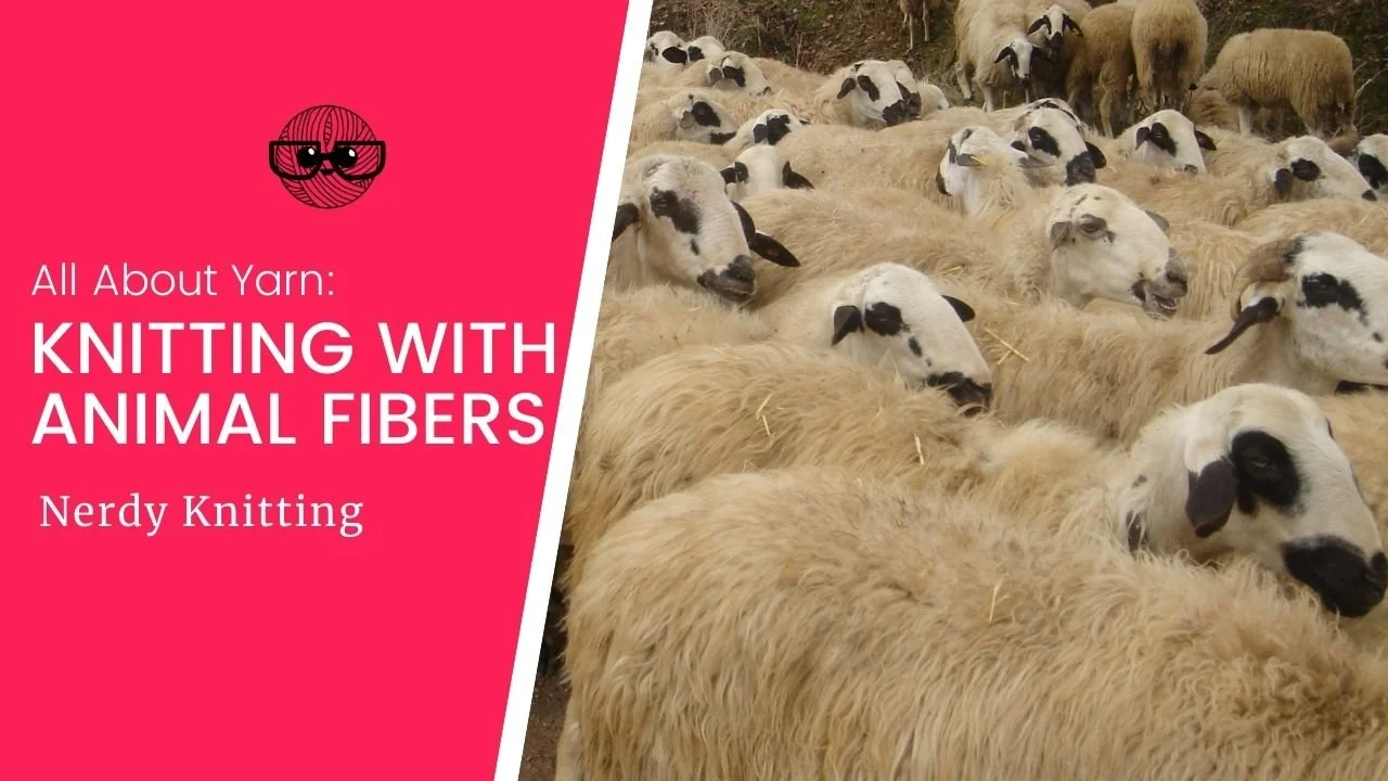 knitting-with-animal-fibers-Featured-Image.jpeg