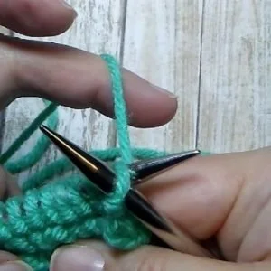 YO-beg-of-purl-row-st1-300x300.jpg