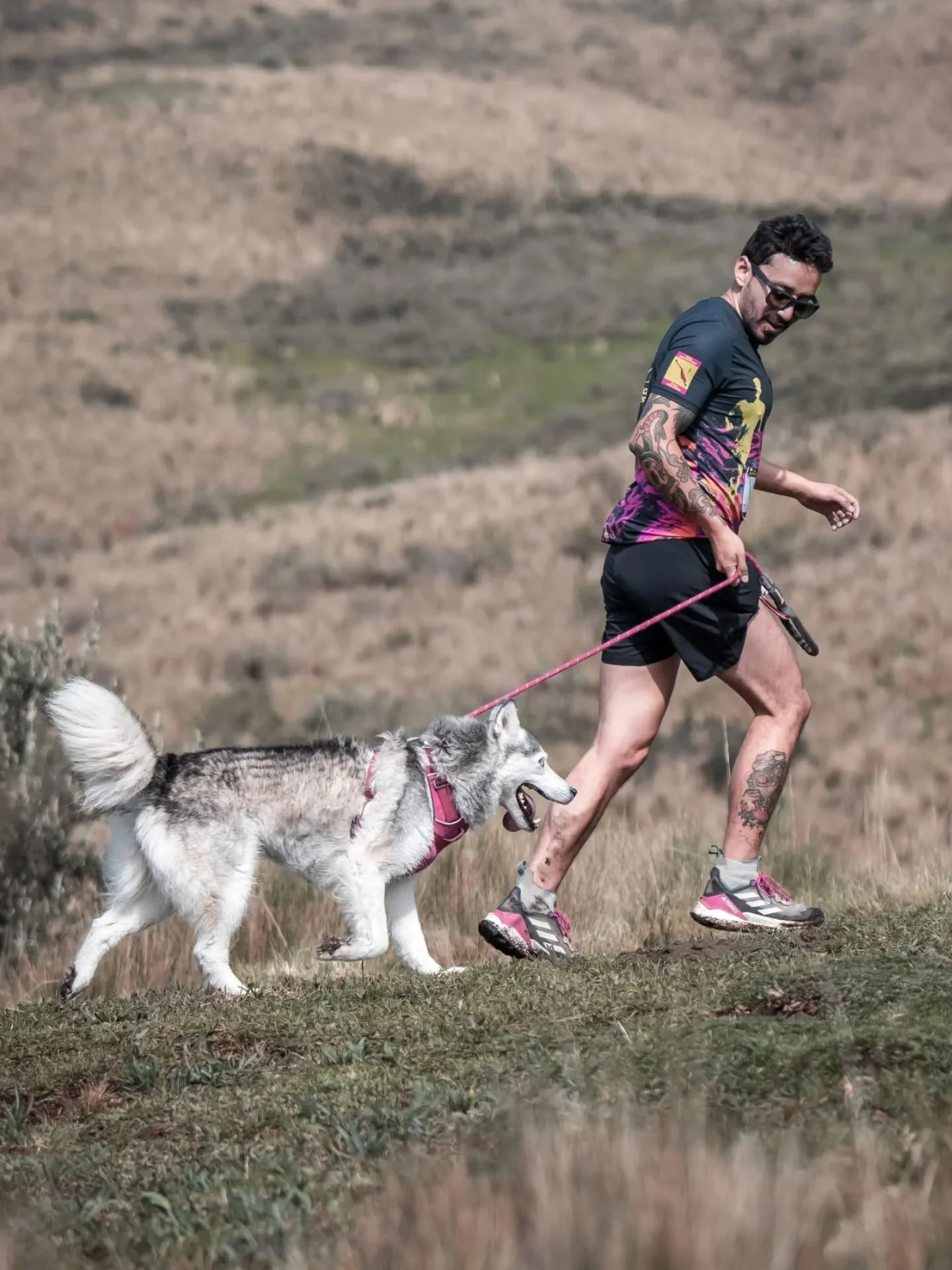 Trail Running Dogs de @vamosperros 

Esta vez deje la c&aacute;mara de lado y me cumpl&iacute; a mi y sobre todo a Wanda.

Ten&iacute;a que hacerlo! 

En la edici&oacute;n anterior escrib&iacute; que me encantar&iacute;a dejar la c&aacute;mara un d&i