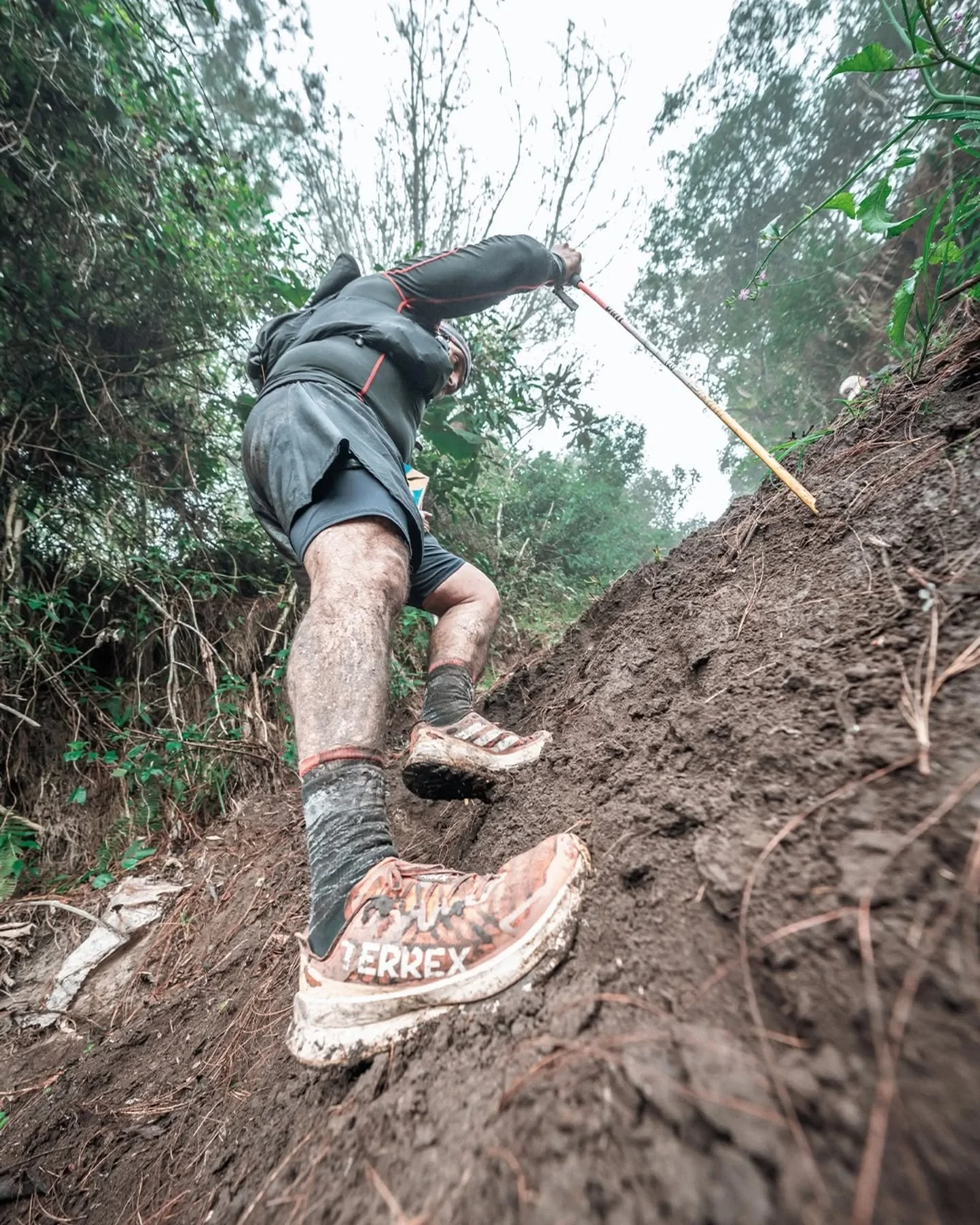 Un a&ntilde;o m&aacute;s la @petzltrailplus_oficial Adidas Terrex nos deja con muchas emociones, recuerdos y experiencias inolvidables. 

La fiesta del trail, la goce de principio a fin.
Ustedes la disfrutan corriendo y yo capturando la luz! 

Te com