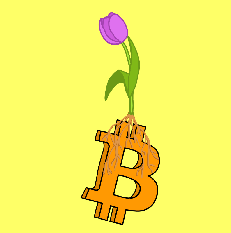 If You Plant Bitcoin, Do Tulips Grow? The Cultural Case for Crypto