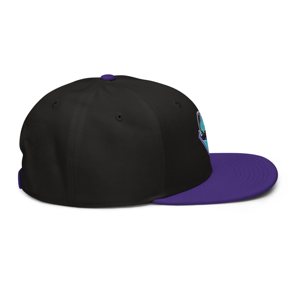 snapback-purple-black-black-right-side-6931f0040923e.png