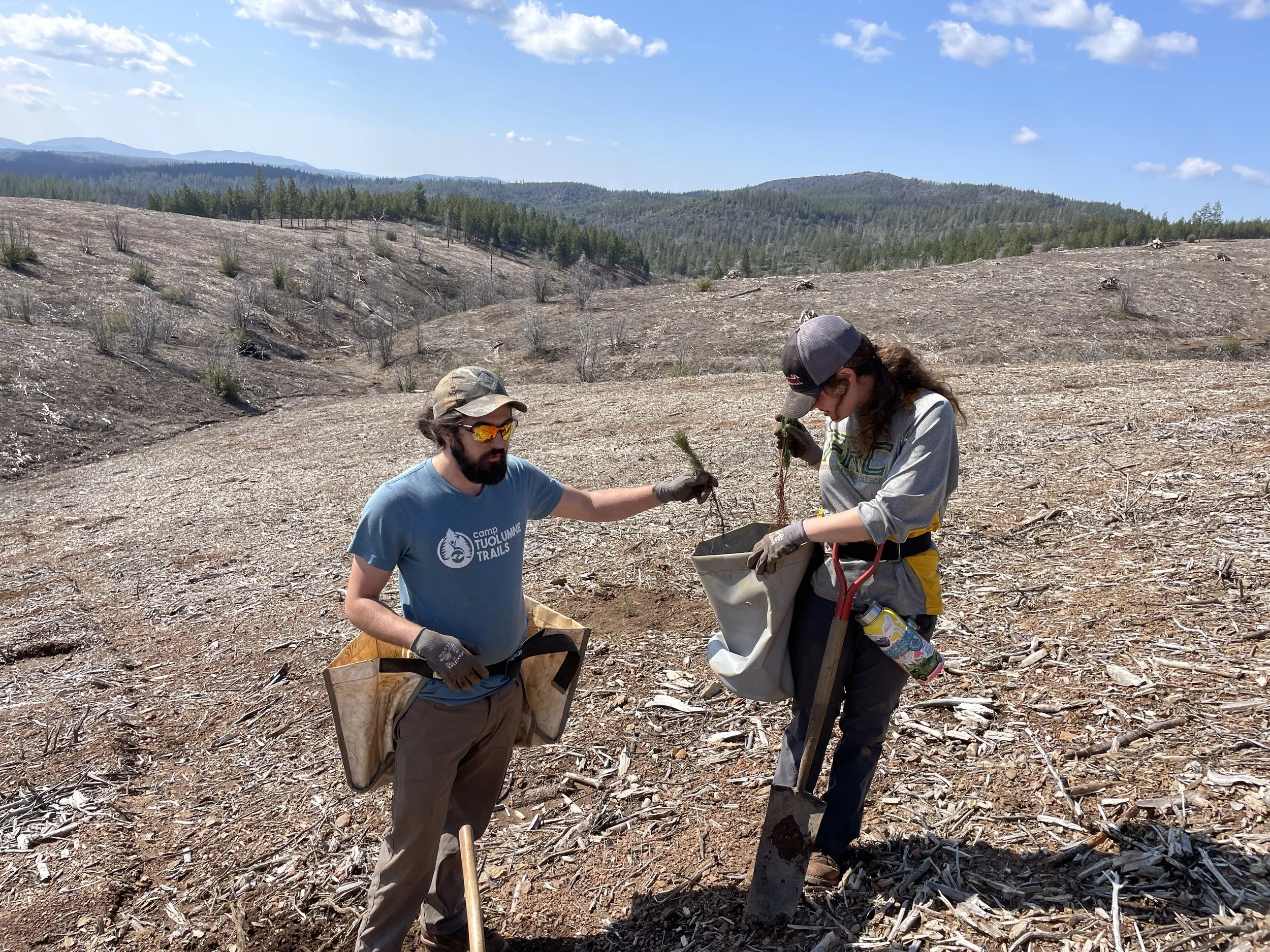 Tree Planting Volunteer Day: Rim Fire Footprint