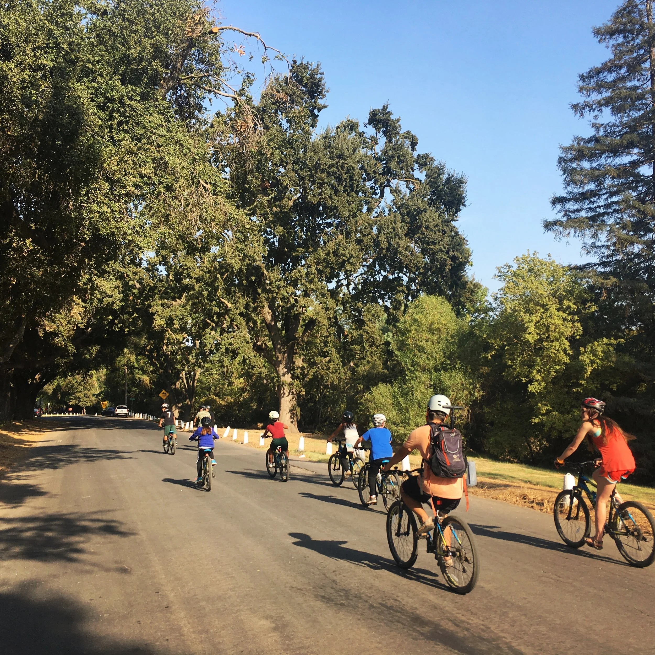 TRAC Bicycle Ride 962017.jpg