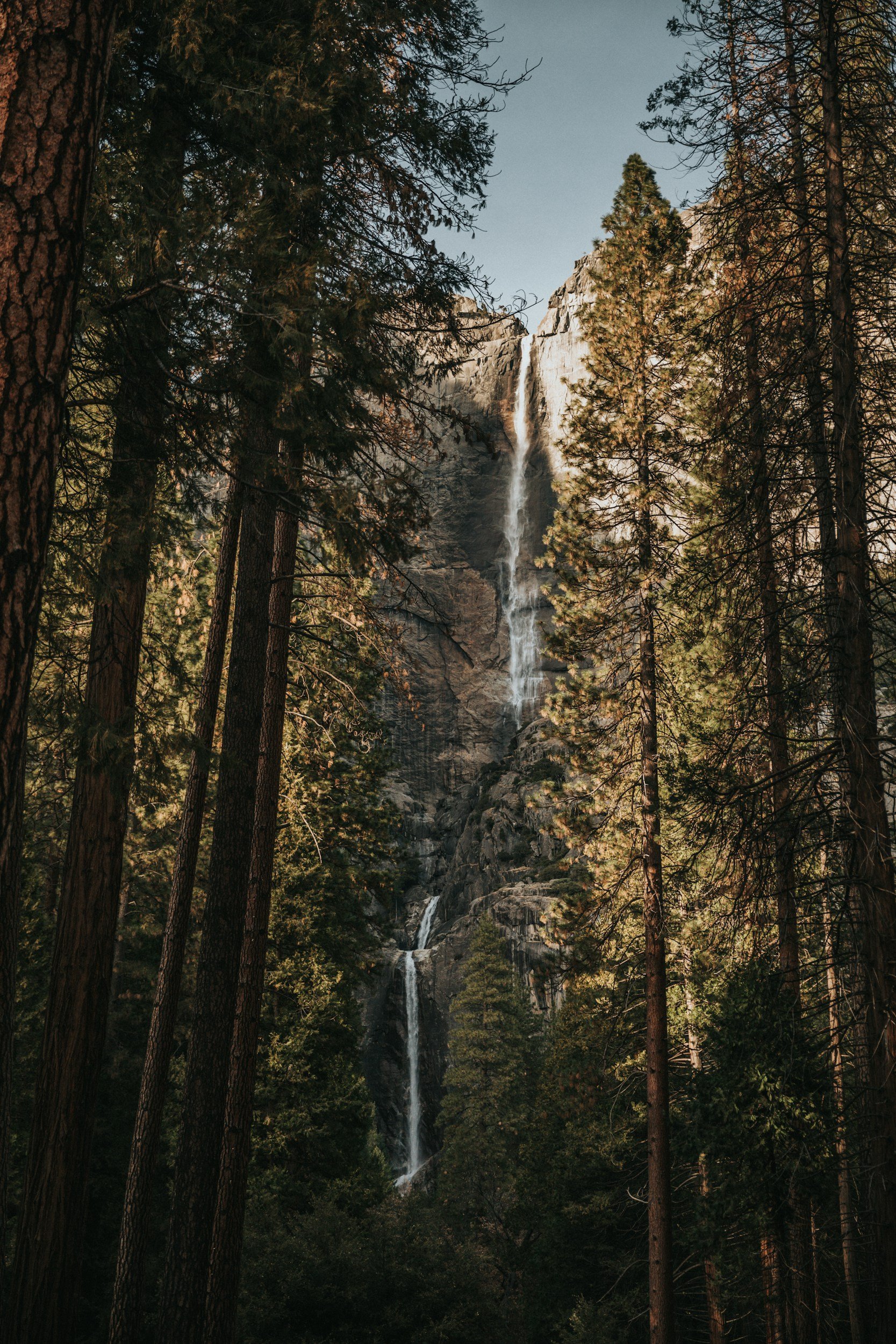 Tall waterfall cascading down a rocky cliff surrounded by tall pine trees in a forest.