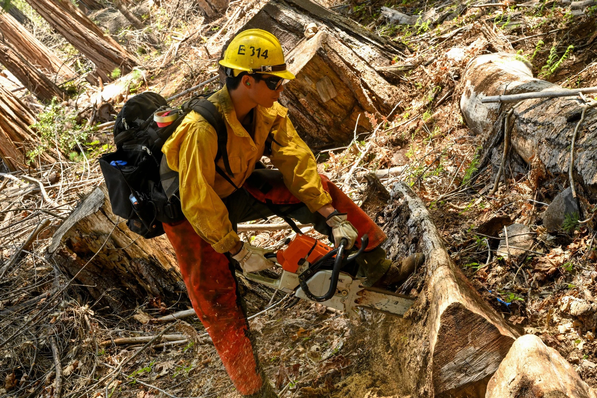 Why You Might See Smoke Around Twain Harte and Cedar Ridge — Yosemite ...