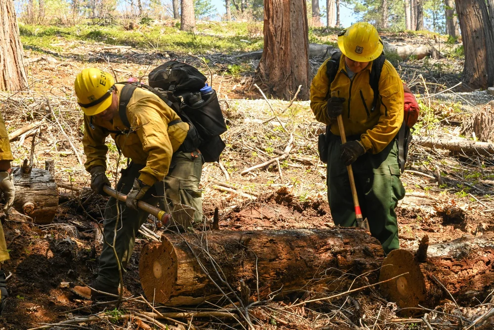 Why You Might See Smoke Around Twain Harte and Cedar Ridge — Yosemite ...