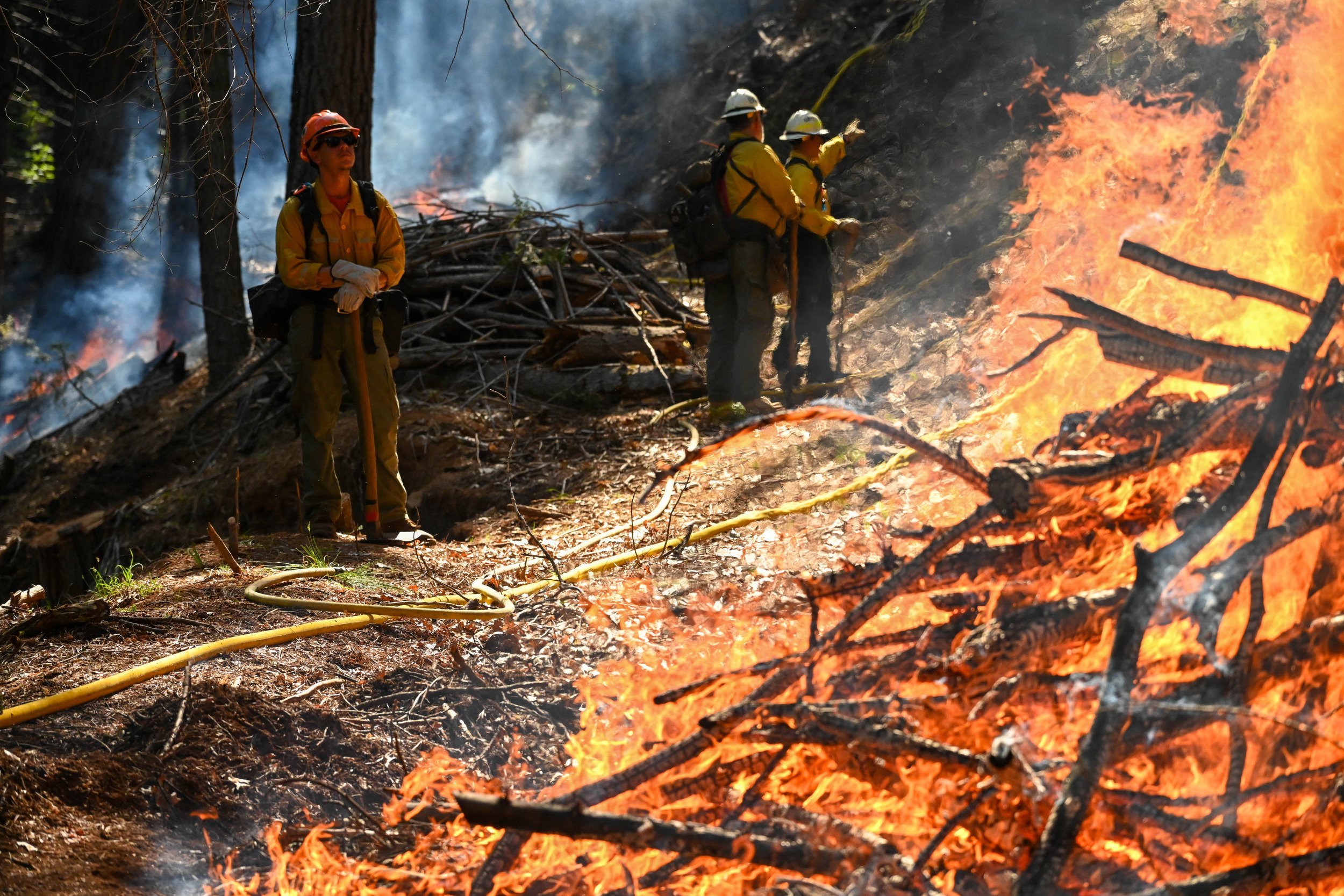 CedarRidge_Burn_05.JPG