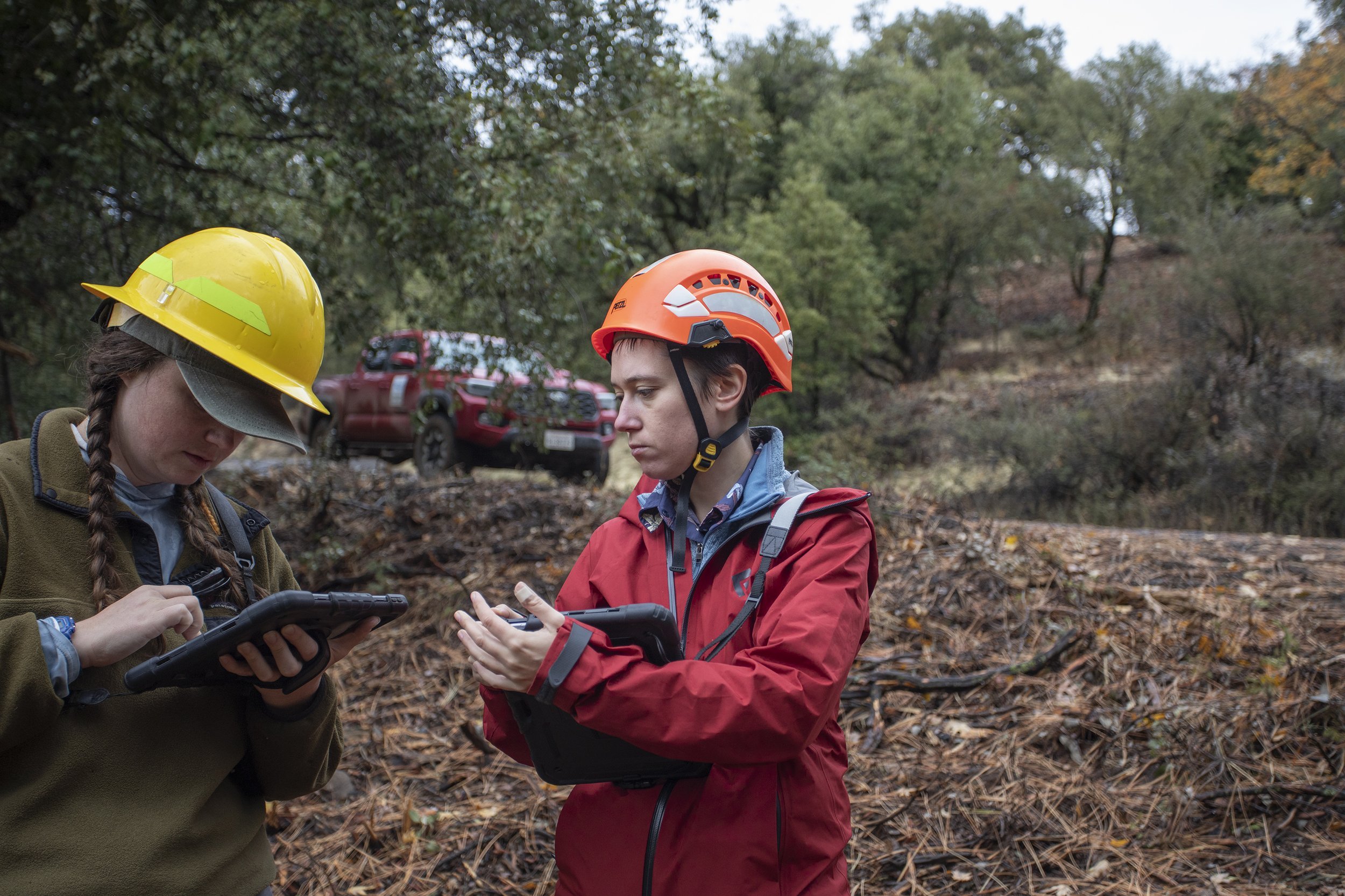 From Protection to Resilience:&nbsp;How Collaborative Stewardship Transforms Forests