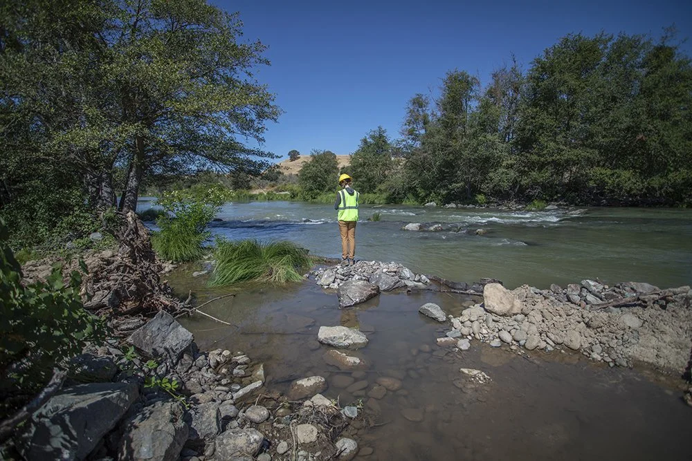 Rocks, Riffles &amp; Floodplains: Restoration Creates Salmon Habitat on the Tuolumne