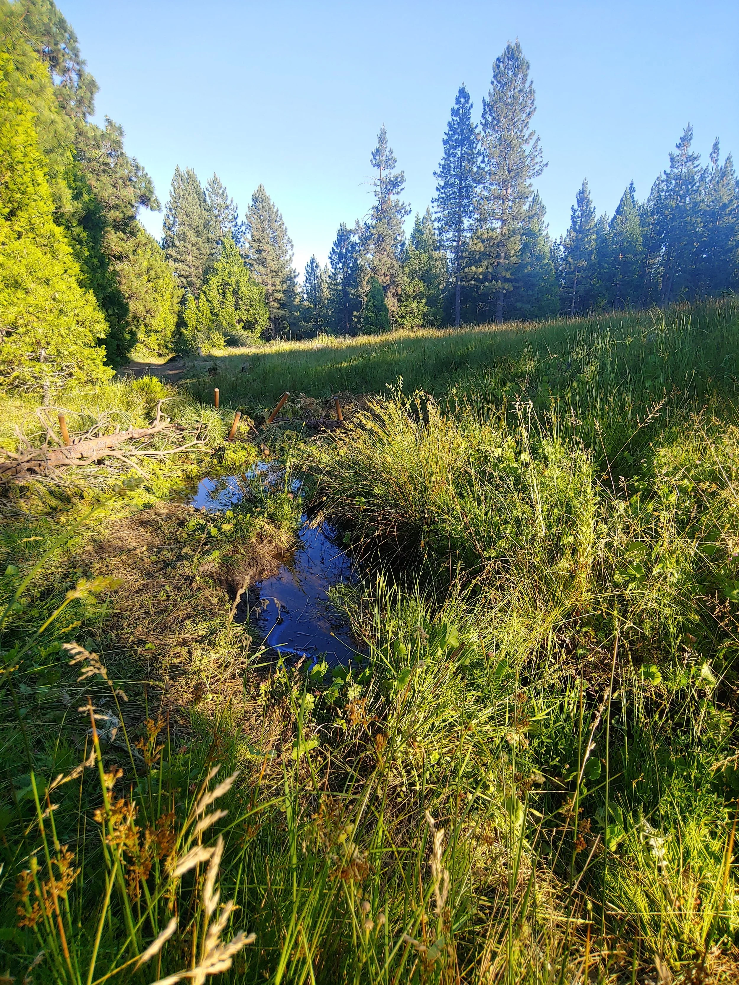 20240702_184945_HDR (1).jpg