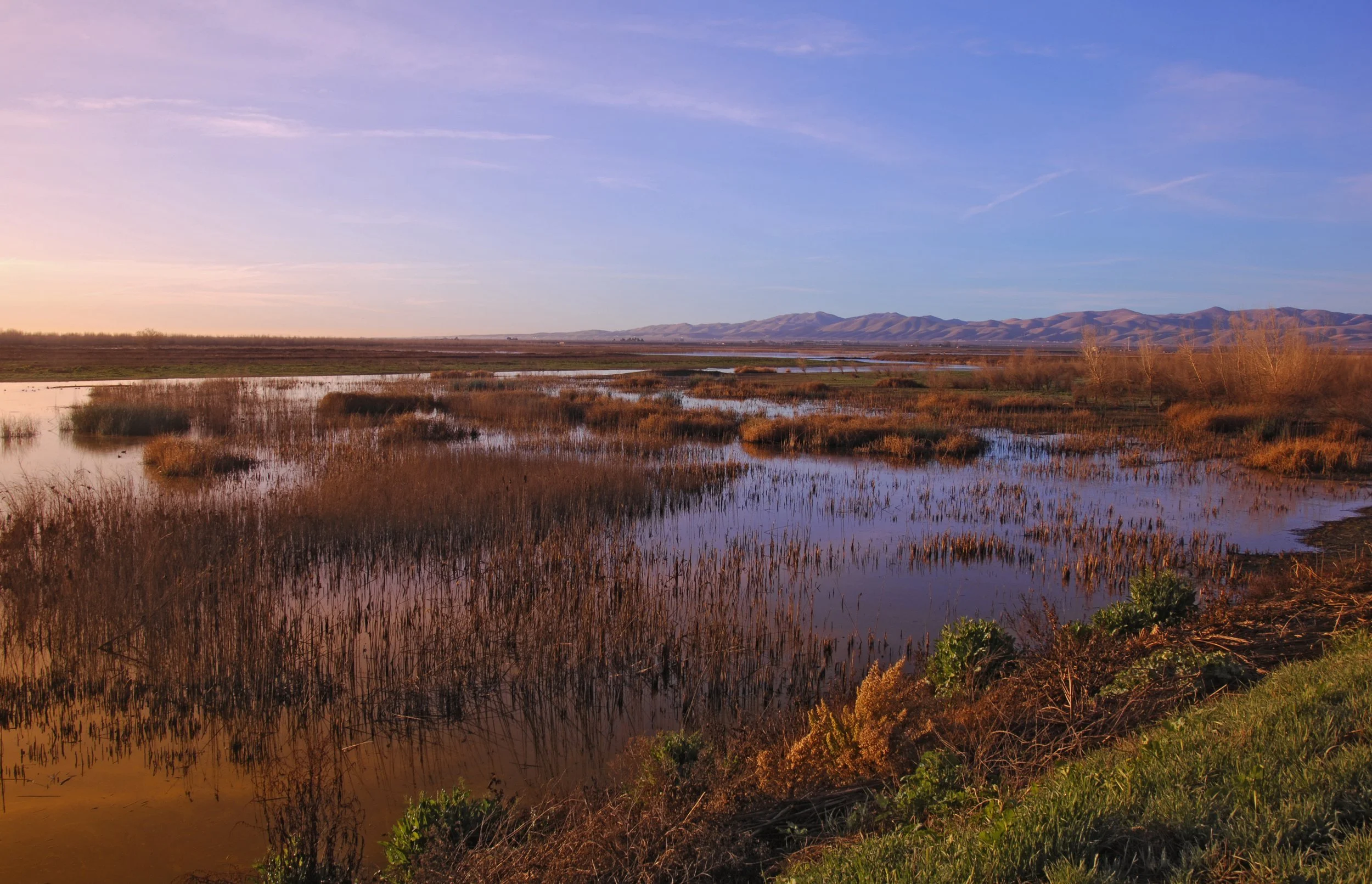 Thinking Like a Floodplain: How Dos Rios Ranch State Park Was Born