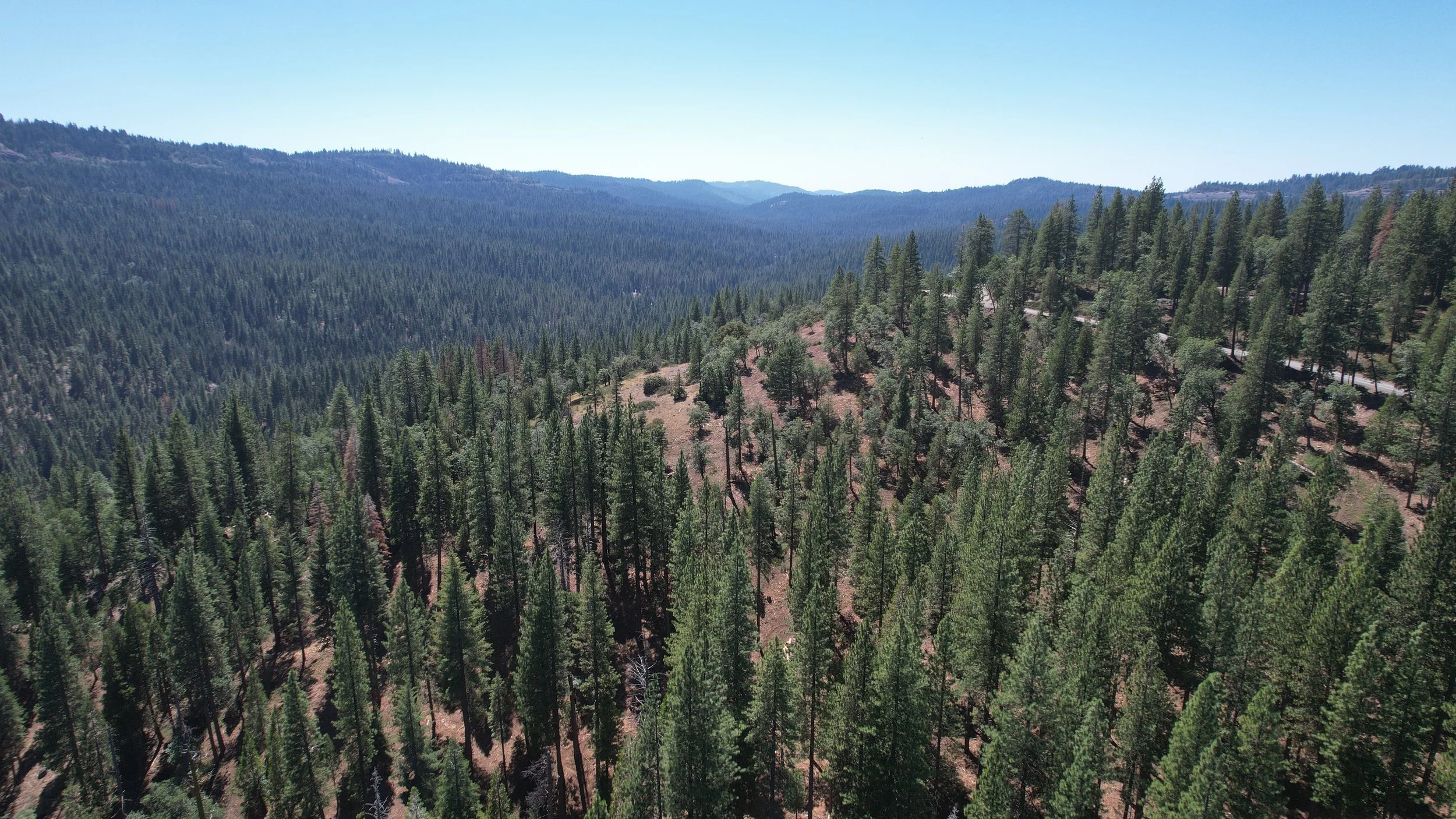 Collaborations and Coalitions: Stanislaus National Forest Awarded  Millions For Wildfire Resilience
