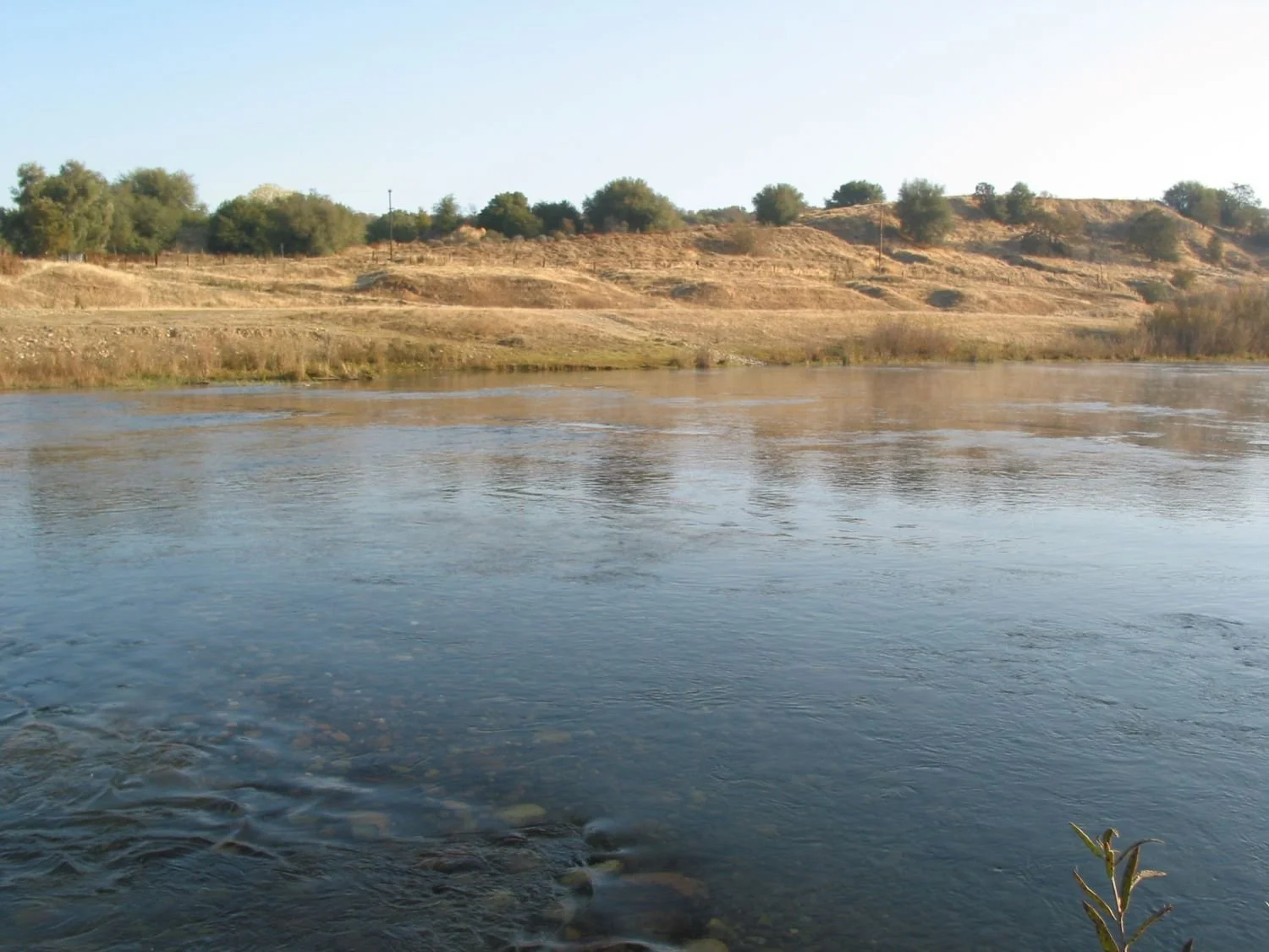 Reflecting on a Year of Advocacy: Tuolumne River Trust's Fight for Transparency