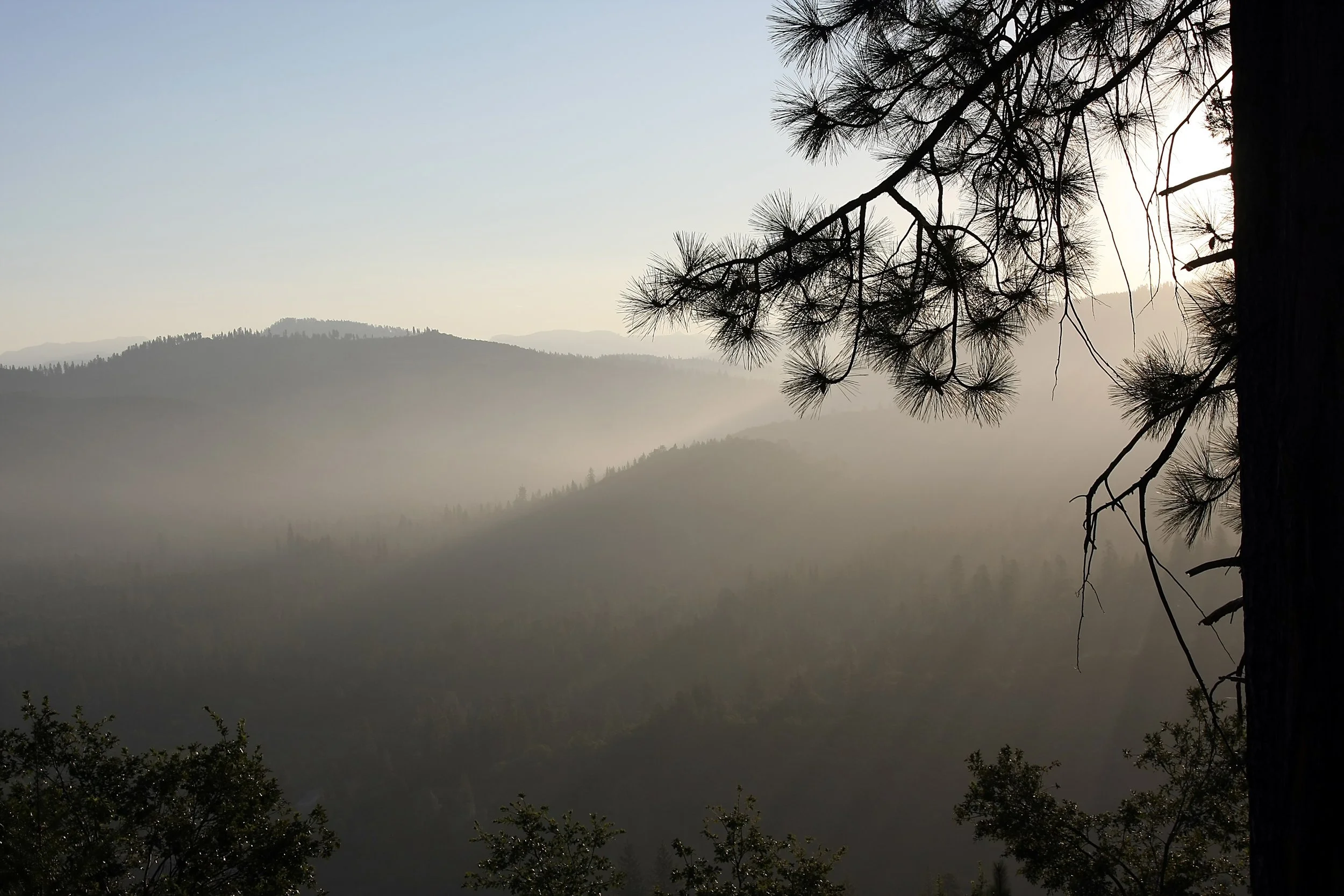 Celebrating Major Milestones