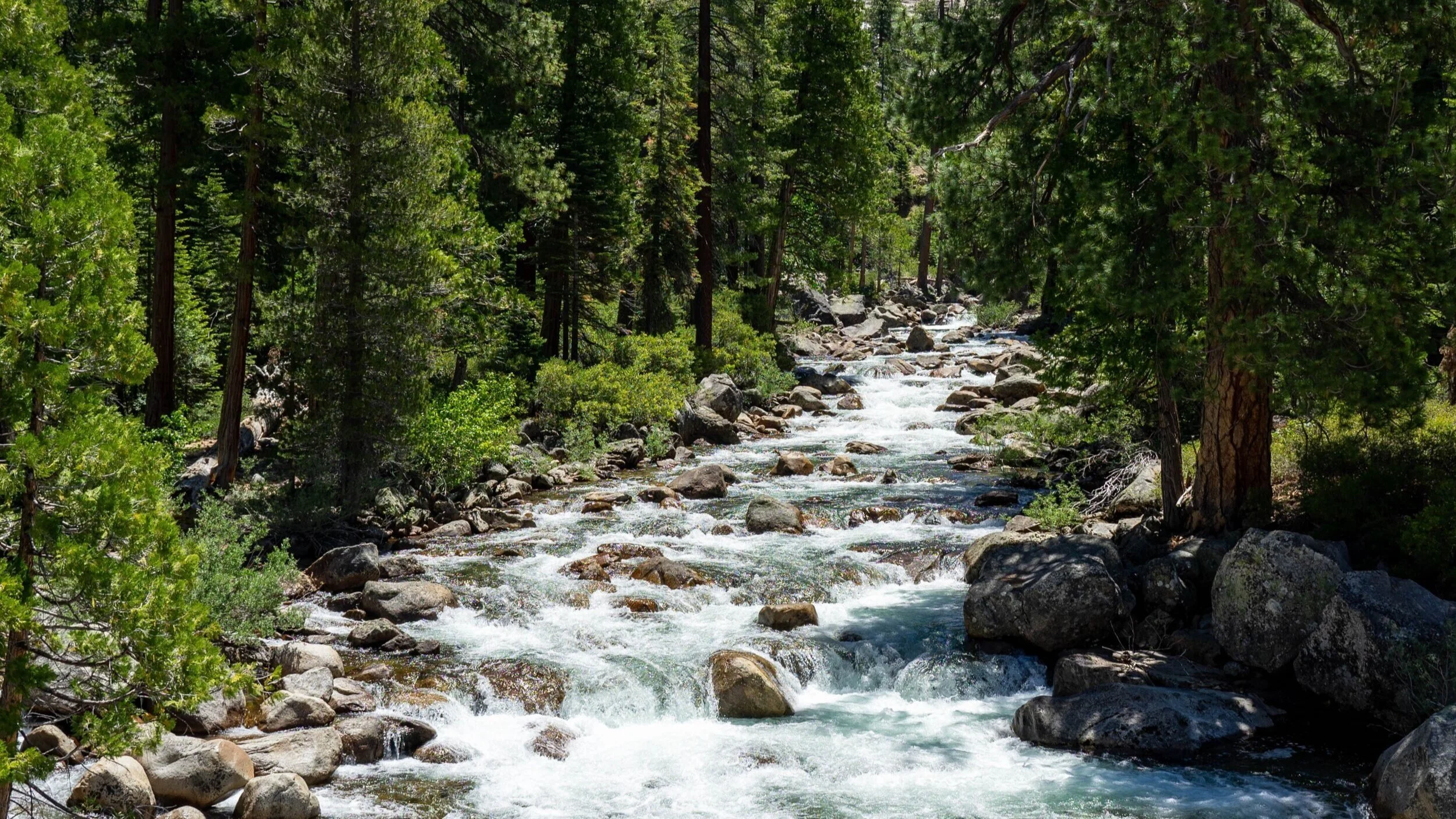 We cannot have hope for the future if we do not plant it.