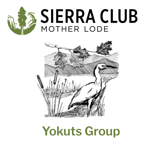 Yokuts Group.png