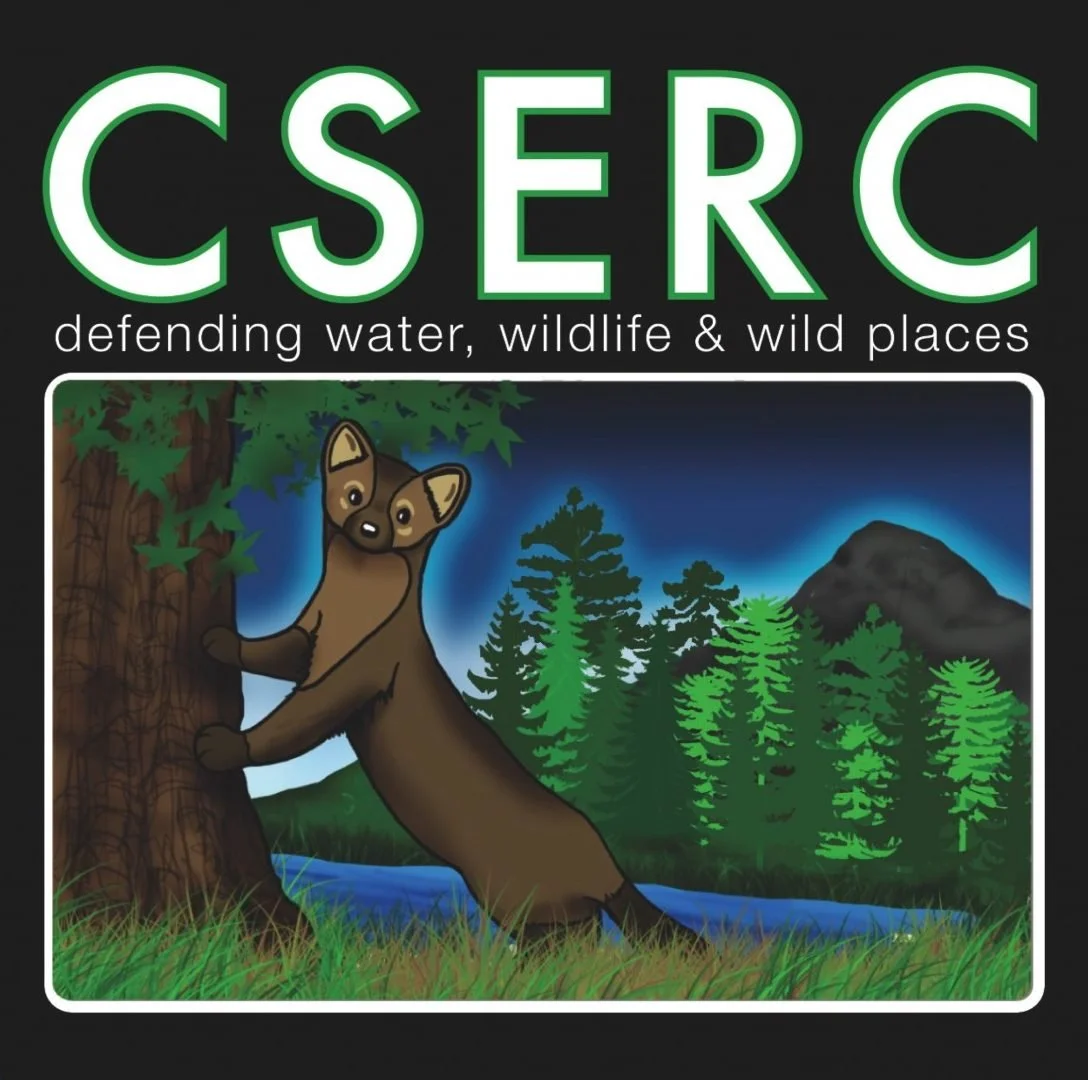 cropped-CSERC_Sticker-rounded-cropped.jpg