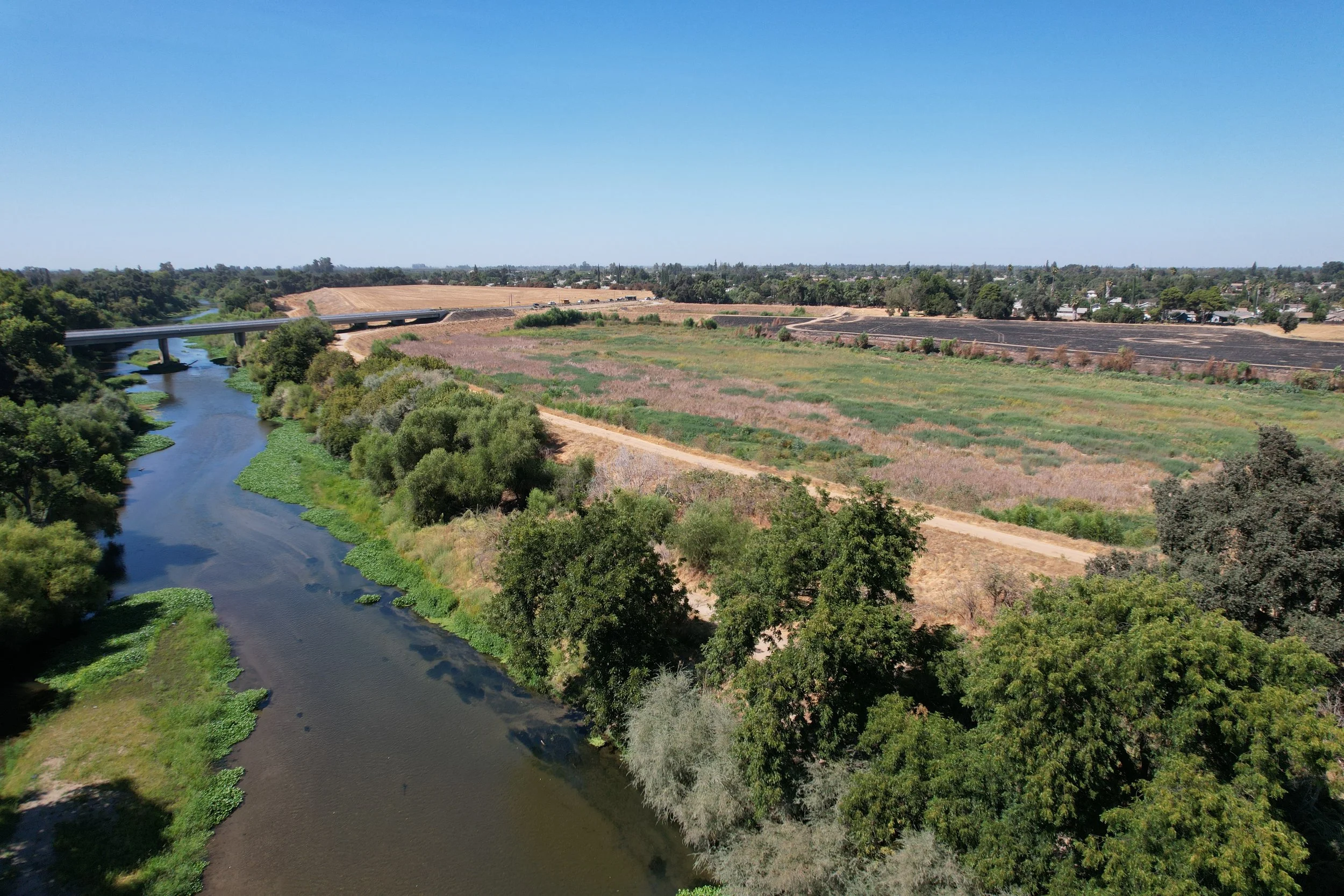 Invitation for Bids: Native Plants & Seeds | Modesto CA Floodplain ...