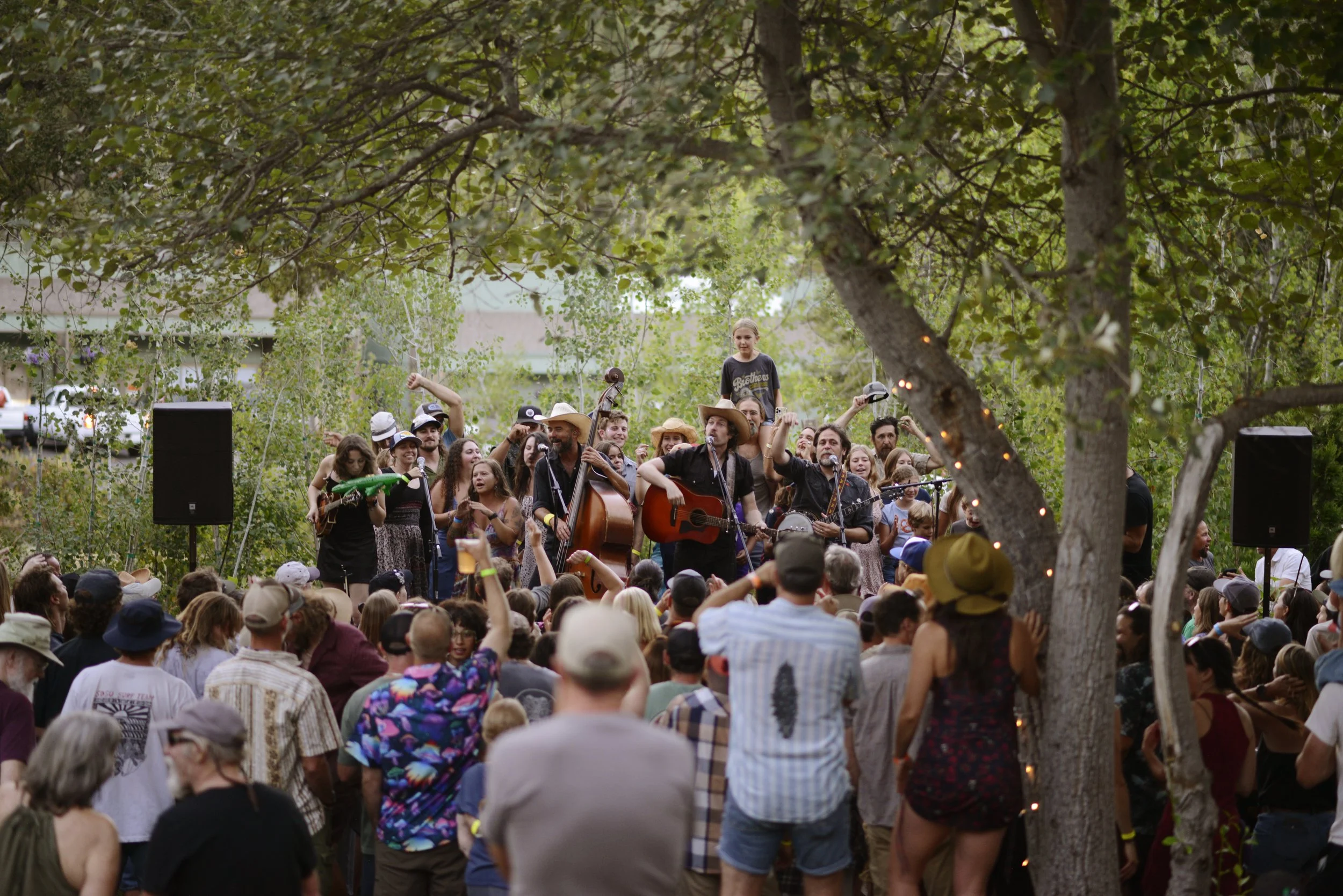 An outdoor concert with a large crowd gathered around a live band playing music among trees.