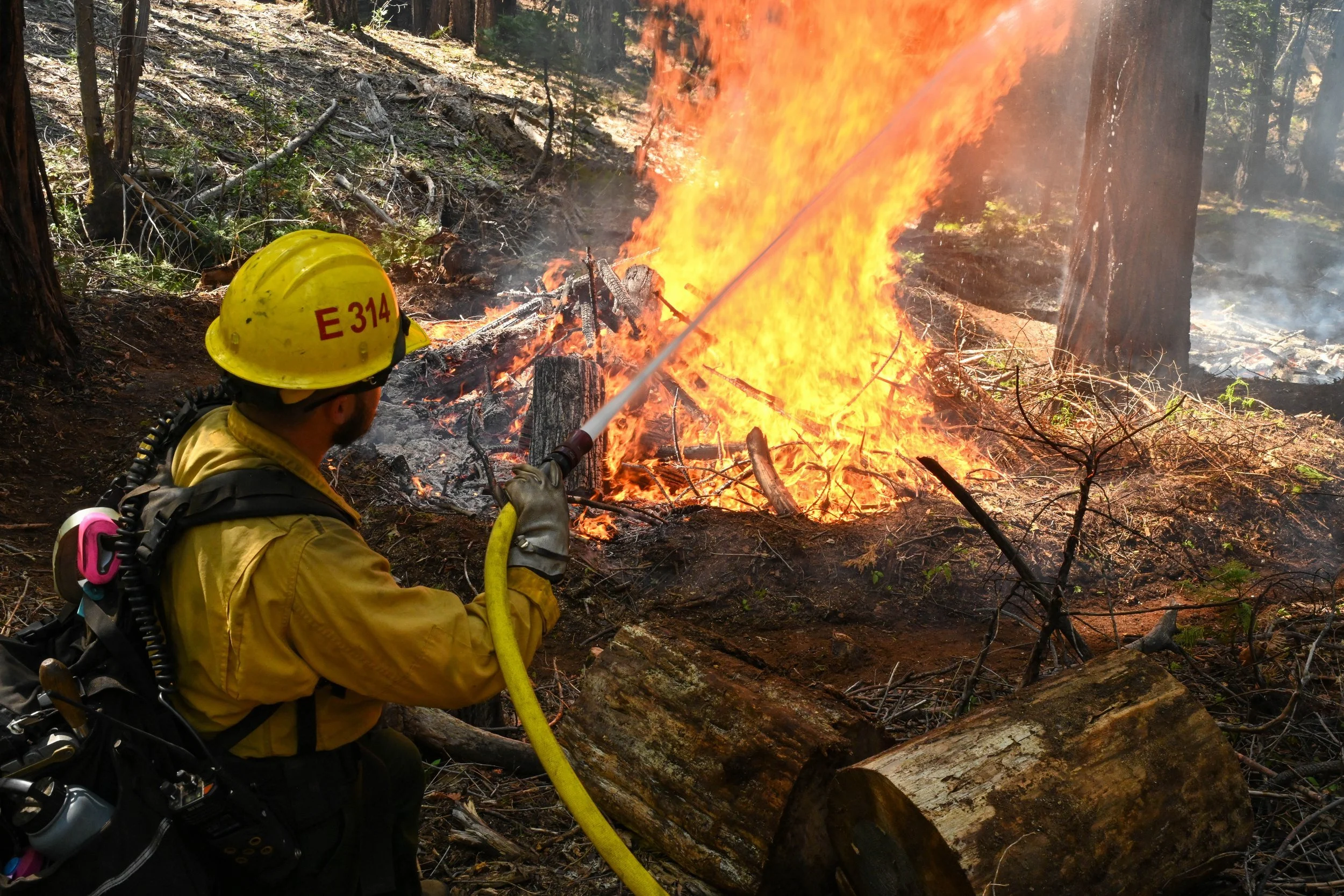 Firefighter in a yellow uniform and helmet spraying water on a forest fire during daytime.