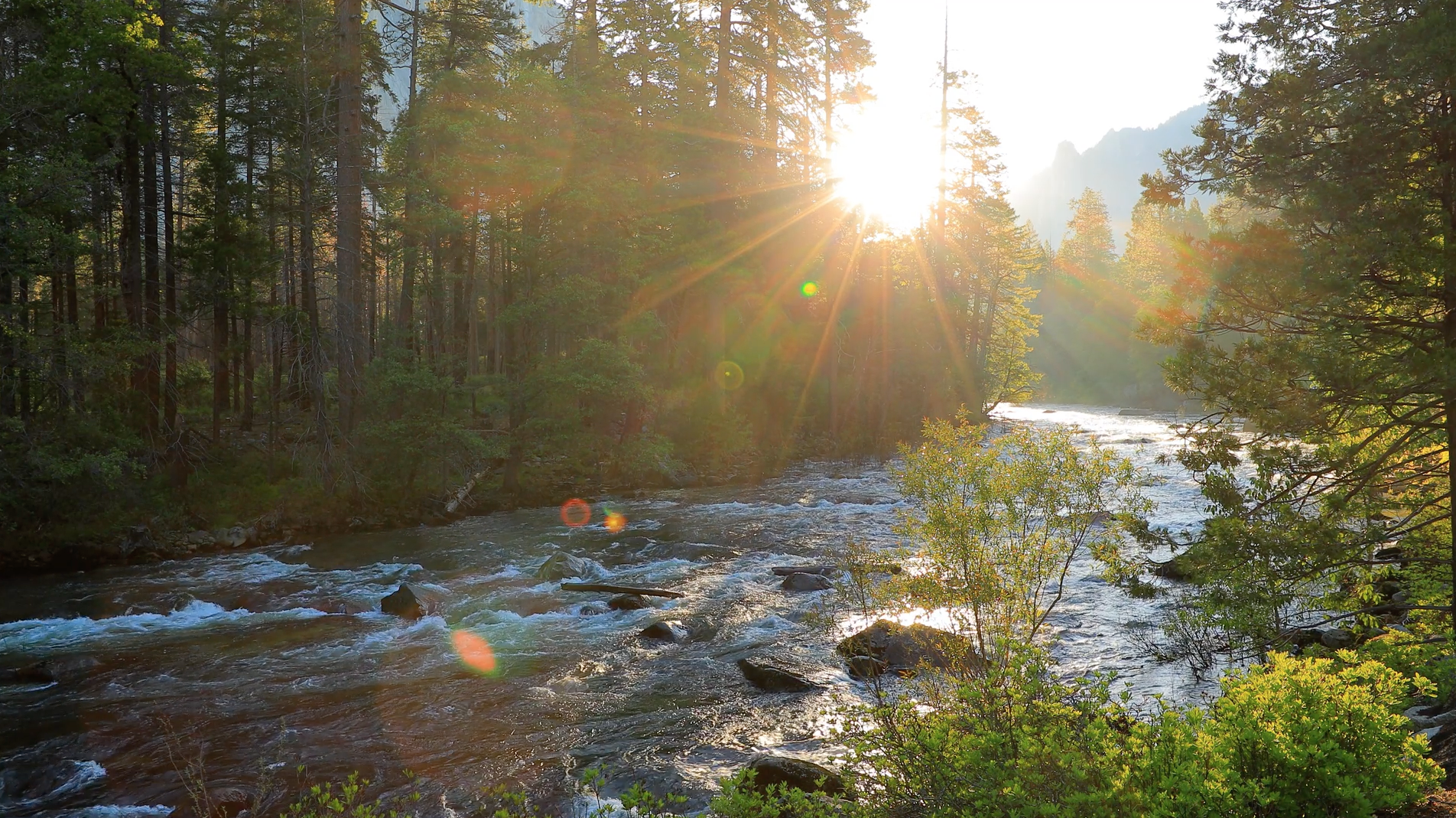 home fallback image.png