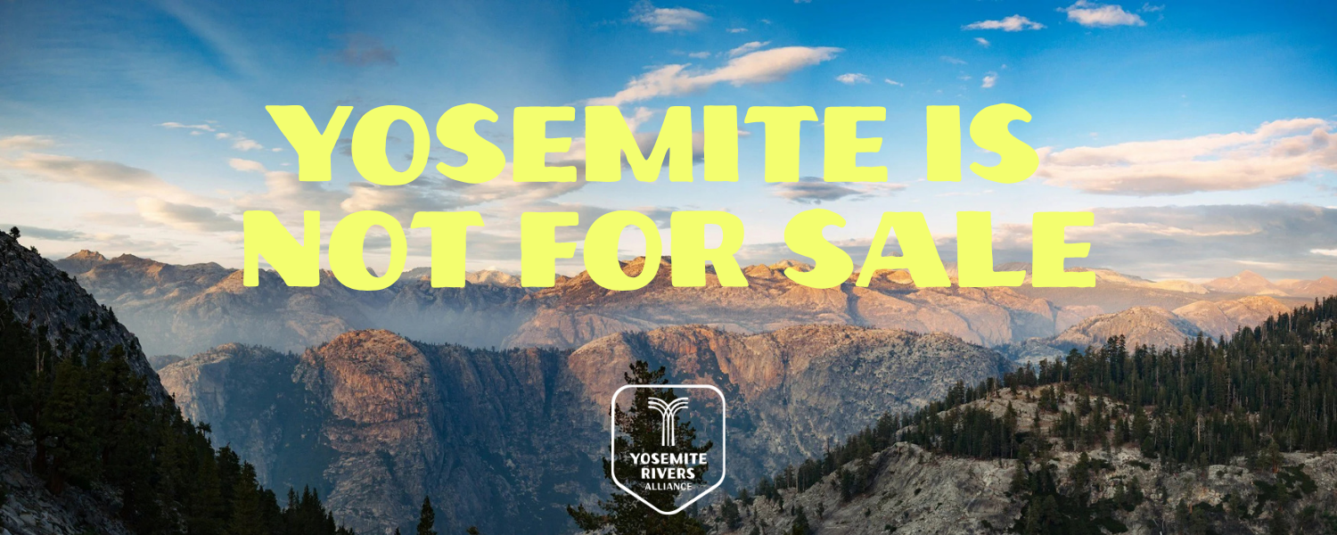 Over 6,800 voices for Yosemite: what you just did, and what comes next