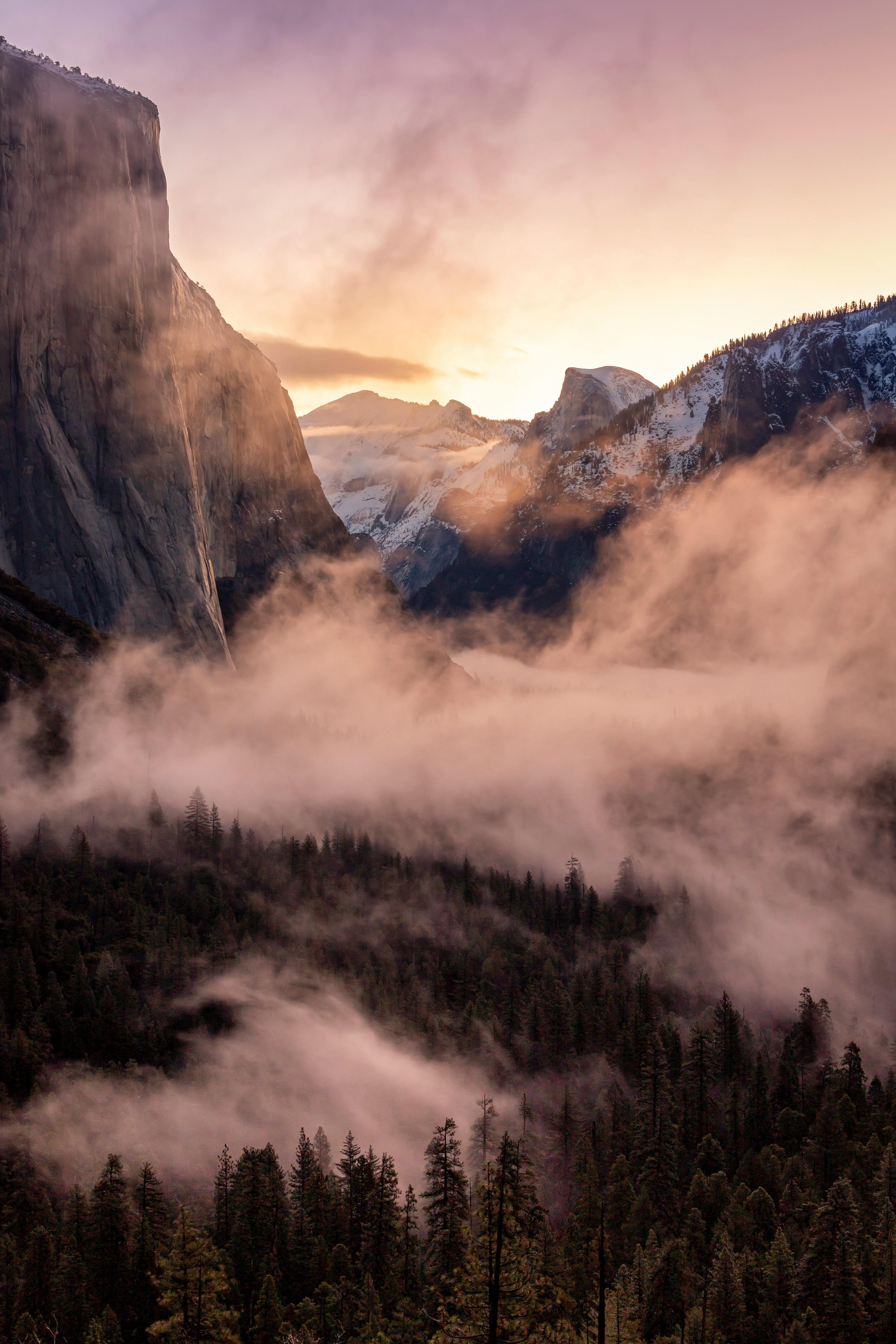 Sunset over a foggy mountain valley with snow-capped peaks and dense forest in the foreground.