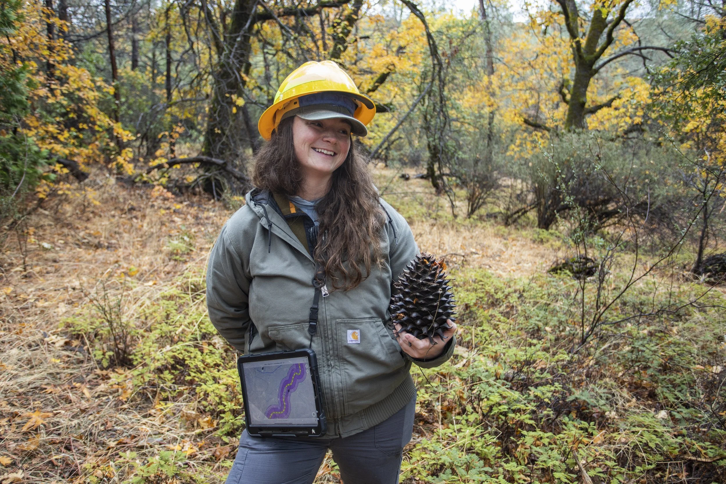 A woman hiking in a forest holding a large cone, wearing a yellow hard hat and a gray jacket, with a tablet showing a map hanging from her waist.