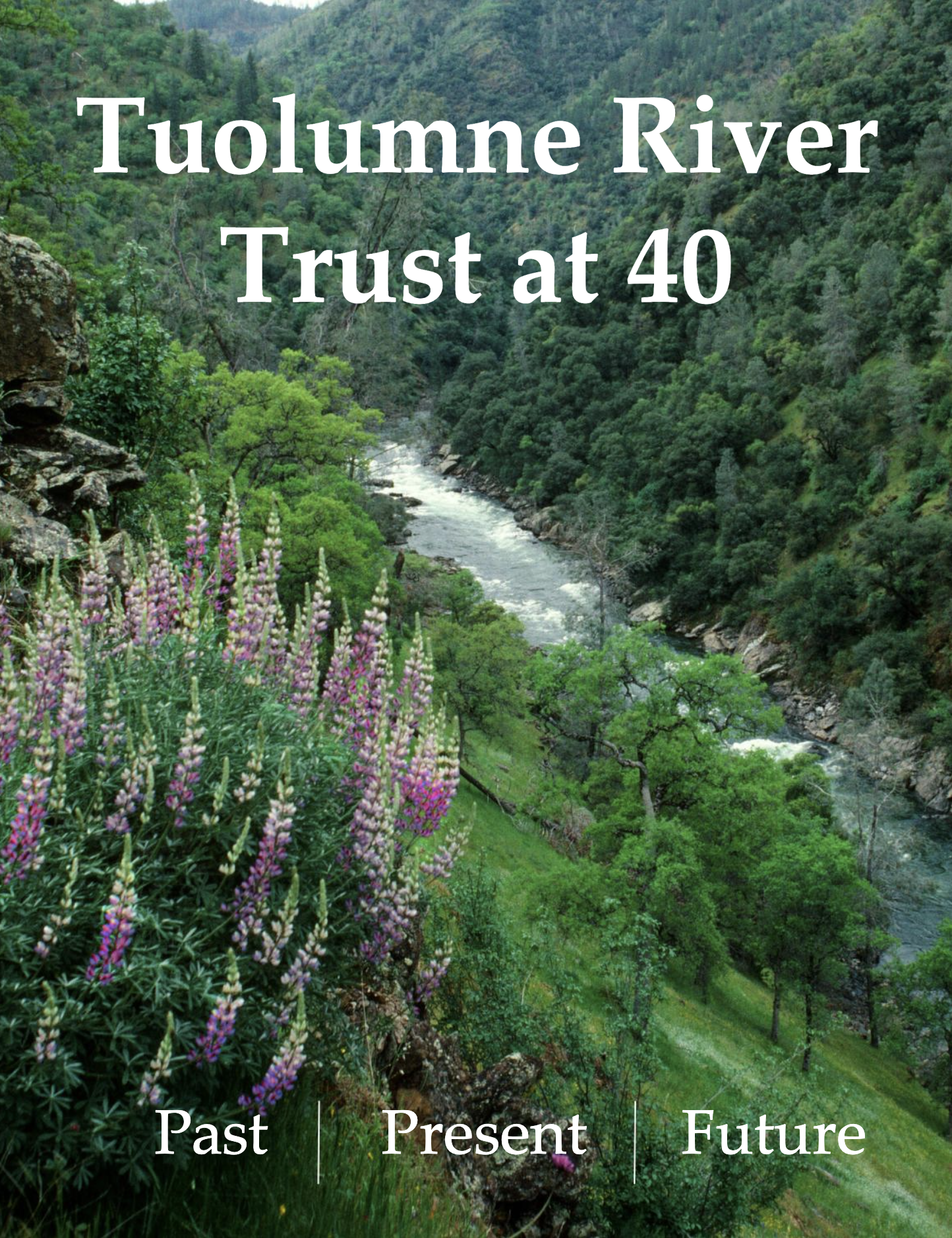 A scenic view of the Tuolumne River flowing through a green, forested canyon with purple and pink wildflowers in the foreground.