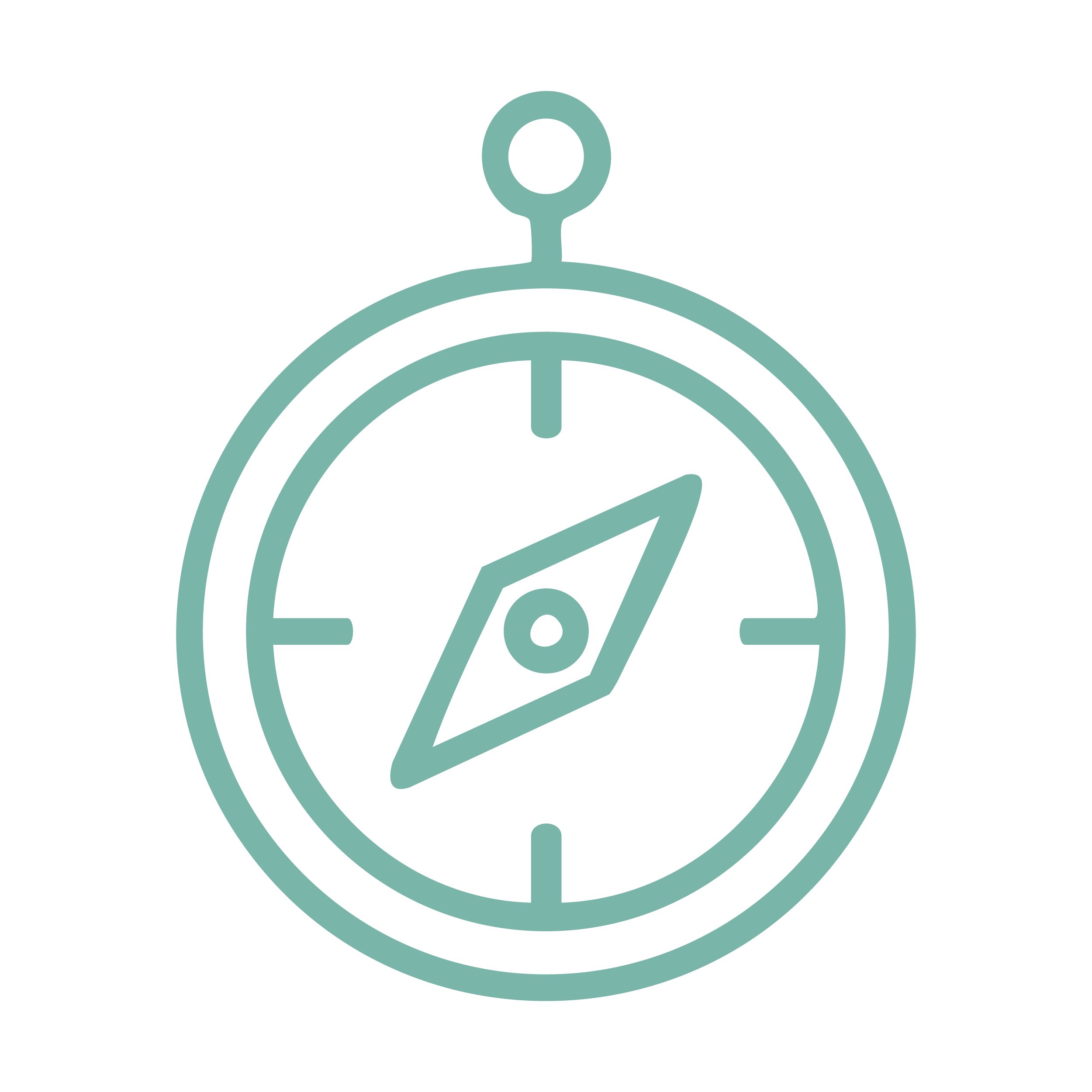 Icon of a stopwatch with a stylized compass inside.