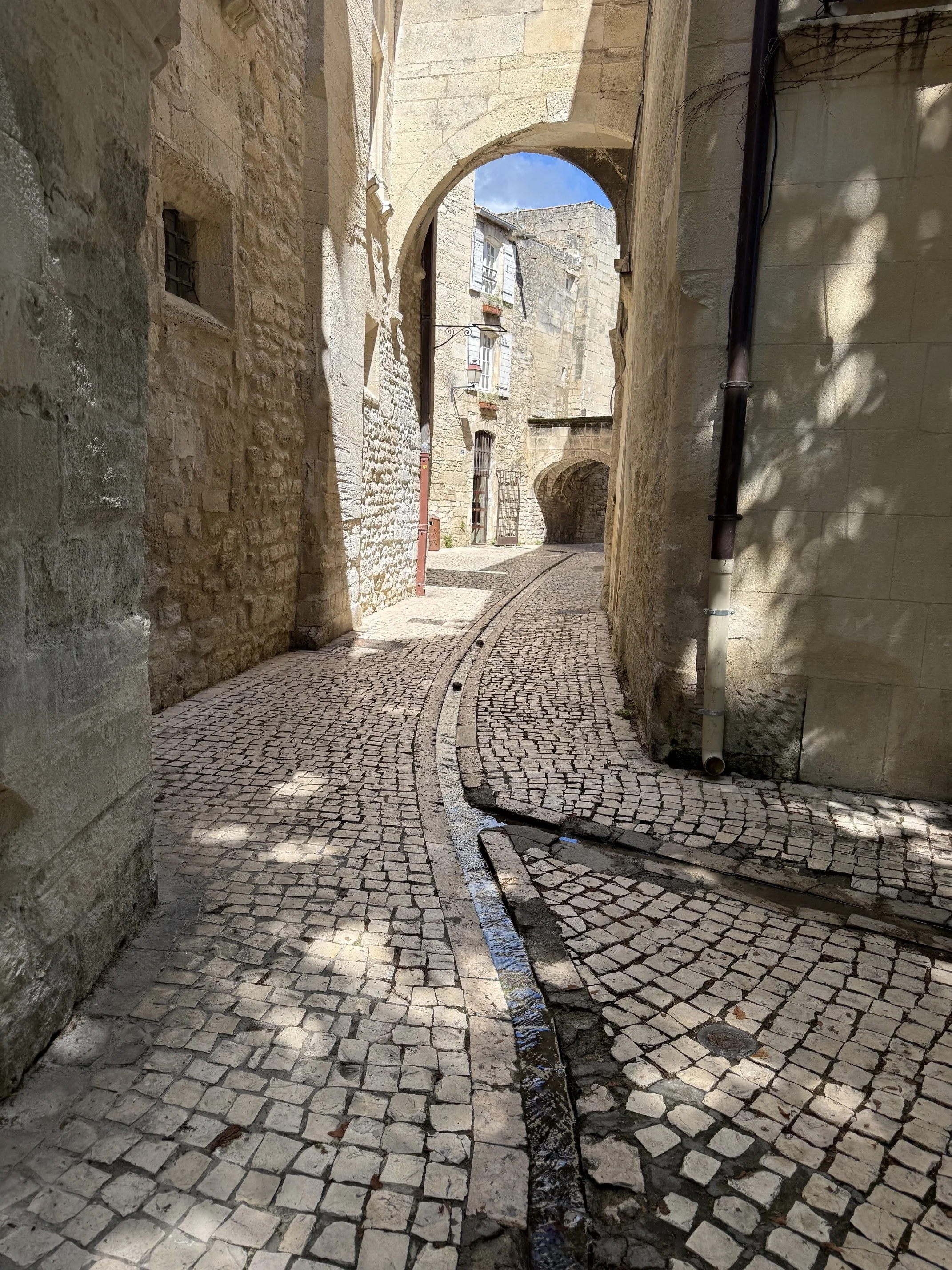 IMG_0456.jpeg