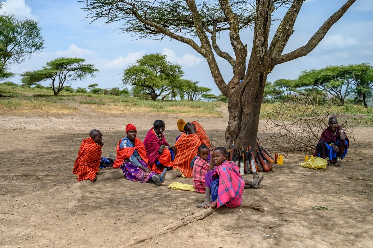 A group of Maasai people sitting under a large tree in a dry landscape, with some traditional weapons and belongings placed around them.