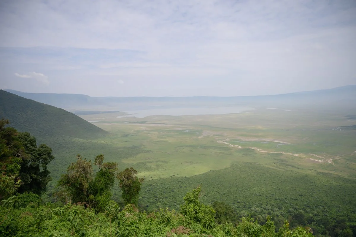 A vast landscape of green hills and forests with a large body of water in the distance under a partly cloudy sky.
