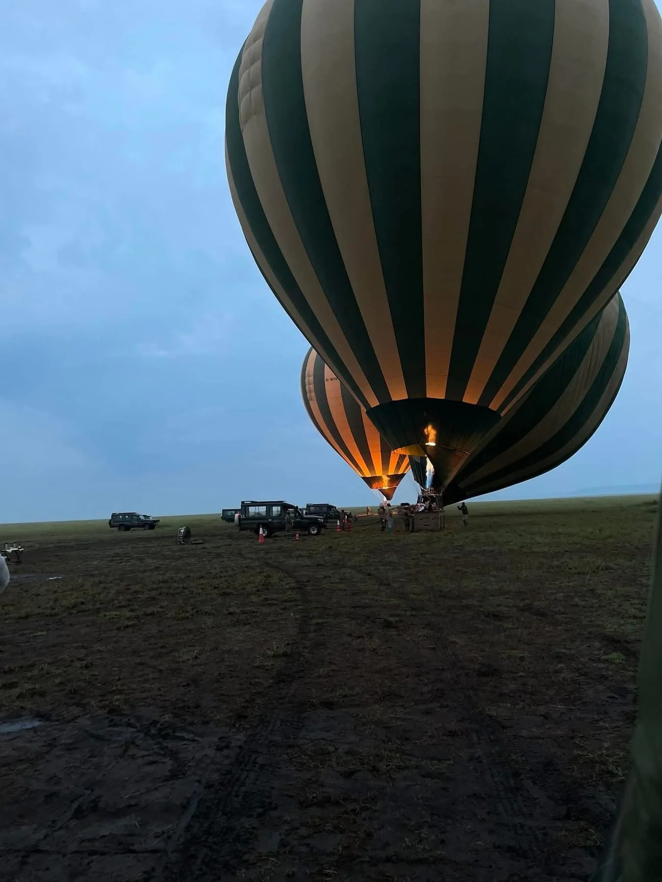 Hot air balloons being prepared for flight on a grassy field at dusk, with a few vehicles and people around.