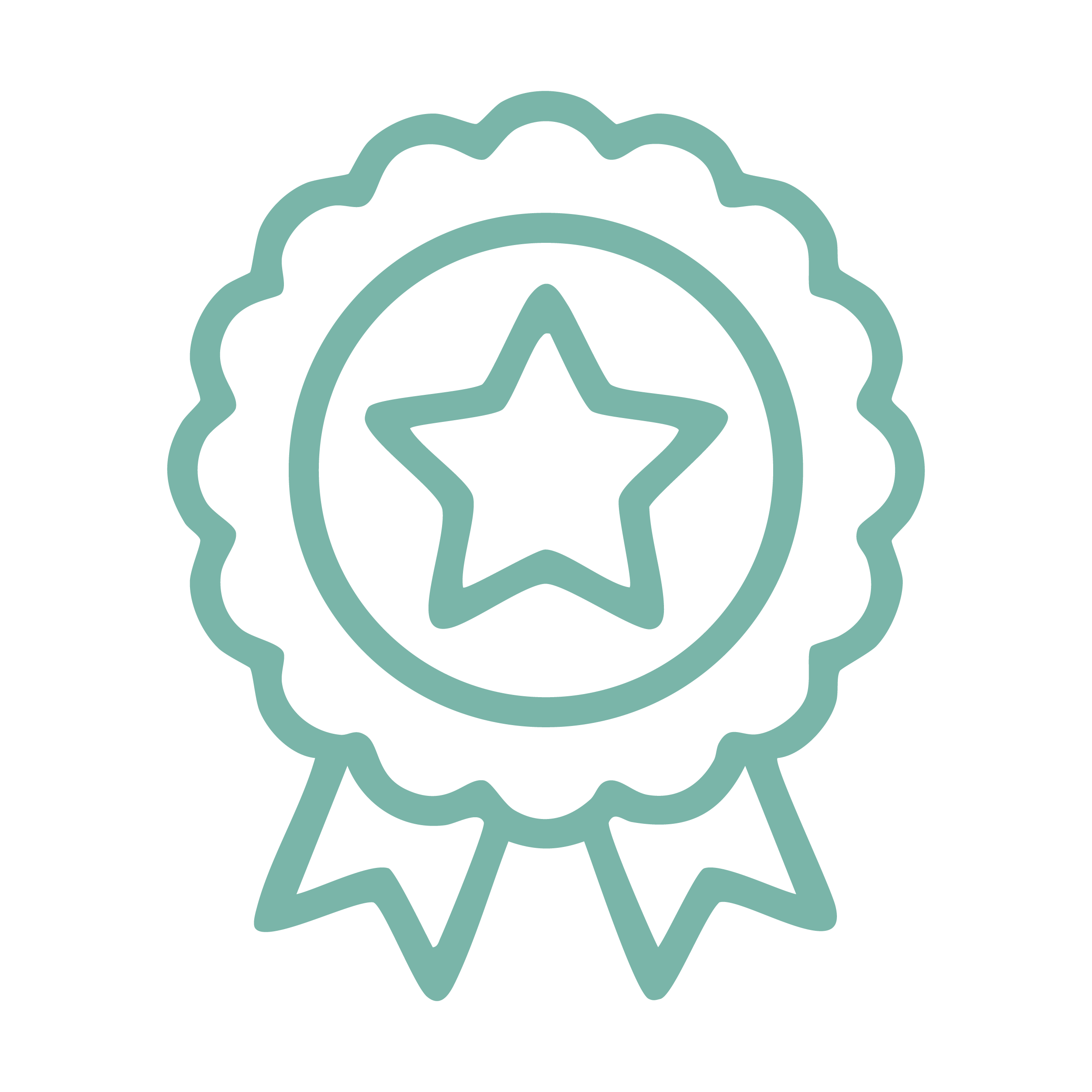 Line drawing of an award ribbon with a star in the center and ribbons hanging below.