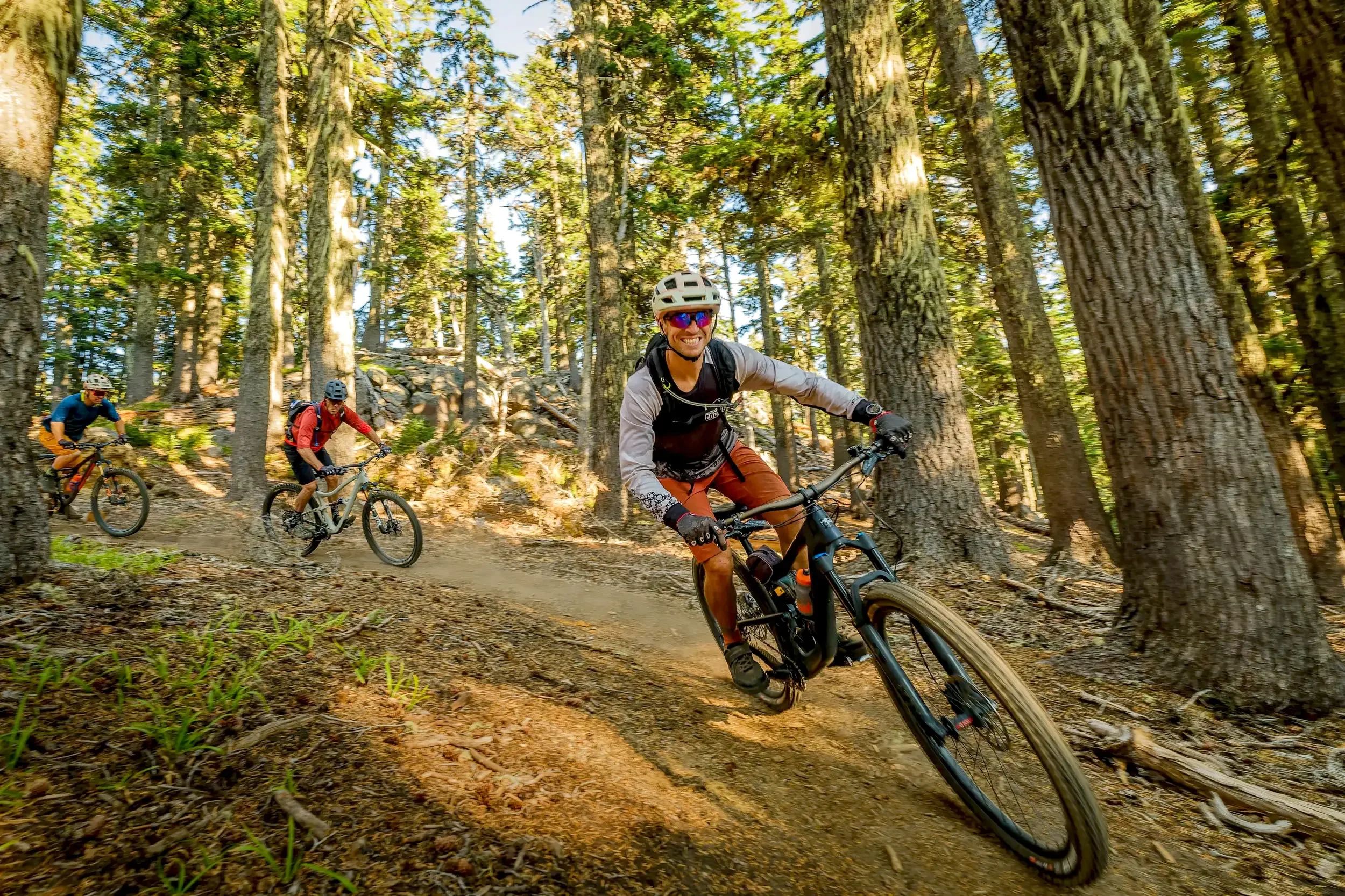 Three mountain bikers riding on a dirt trail in a dense forest with tall trees and sunlight filtering through