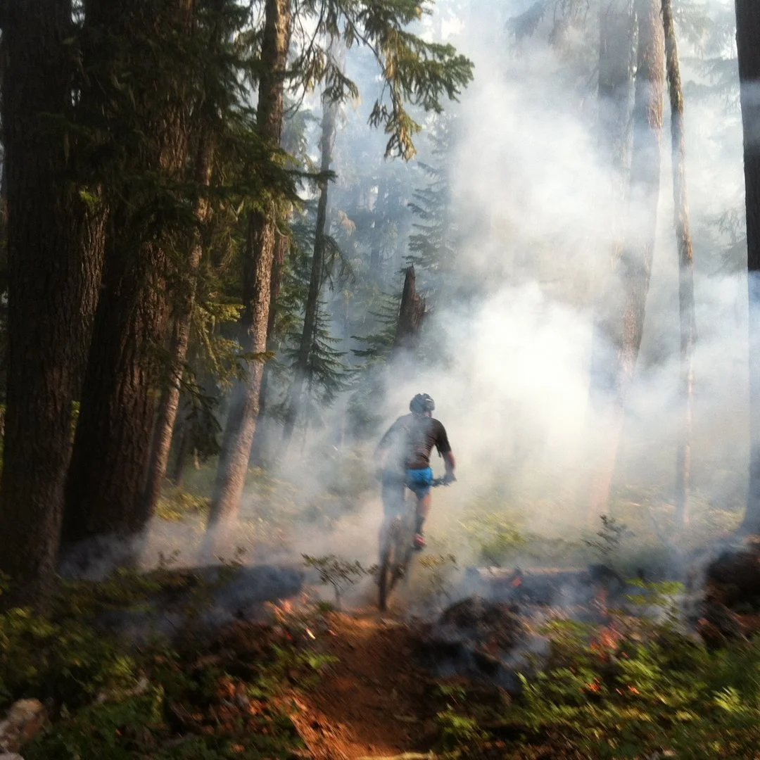 A person riding a mountain bike through a smoke-filled forest with tall trees and a dirt trail.