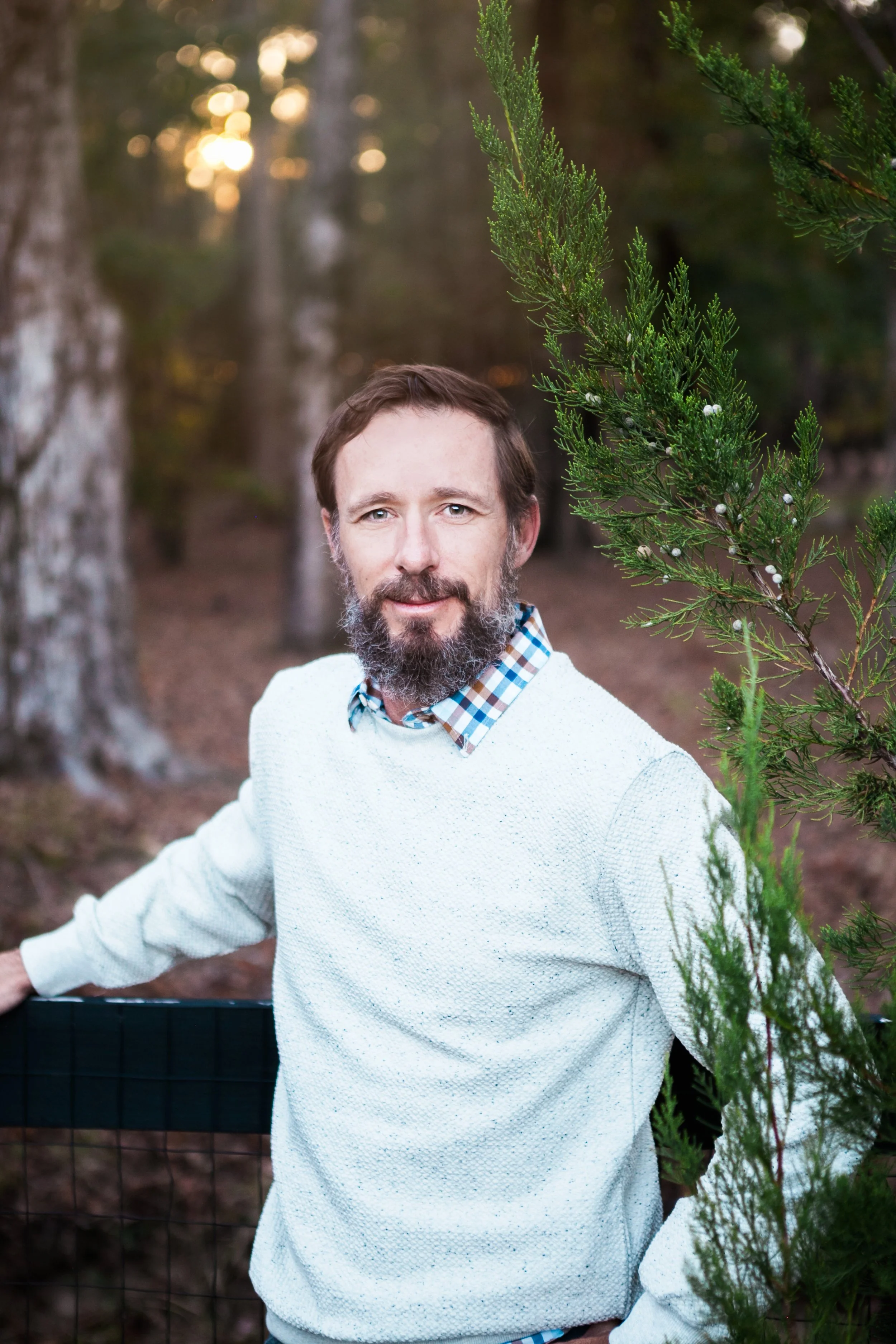 A man with a beard and mustache, wearing a white sweater and a checkered shirt, standing outdoors in a forested area during sunset, next to a small green tree.