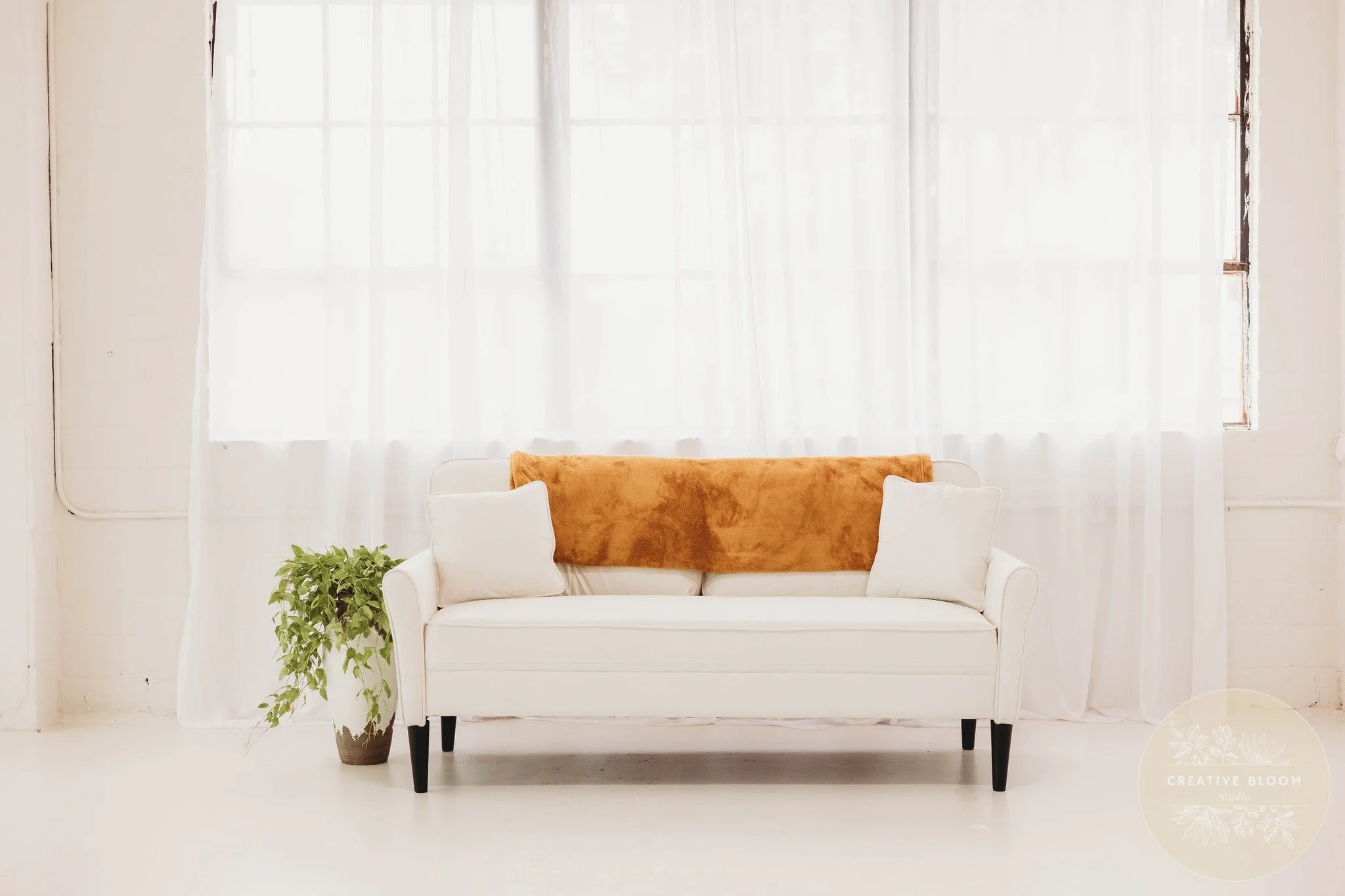 A white sofa with two white pillows and a brown throw placed on the backrest, with a potted green plant on the left side, set against sheer white curtains covering large windows in a bright, minimalistic room.
