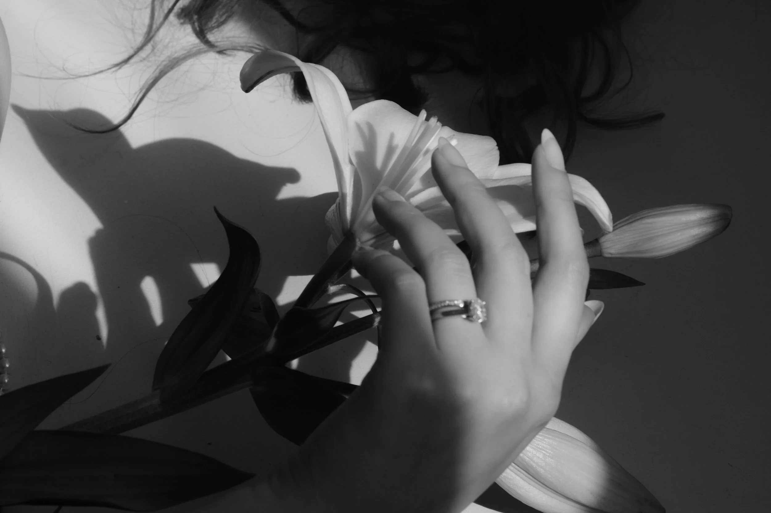 Portraits / analog + digital / human connection / MEA et NOS 