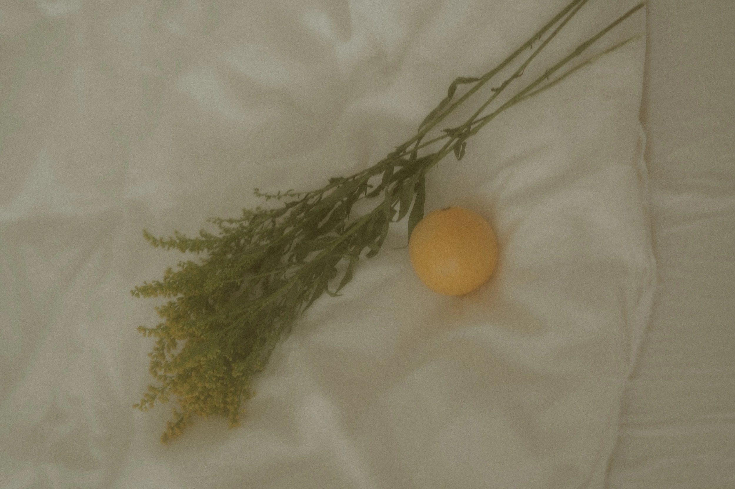 Portraits / analog + digital / human connection / MEA et NOS