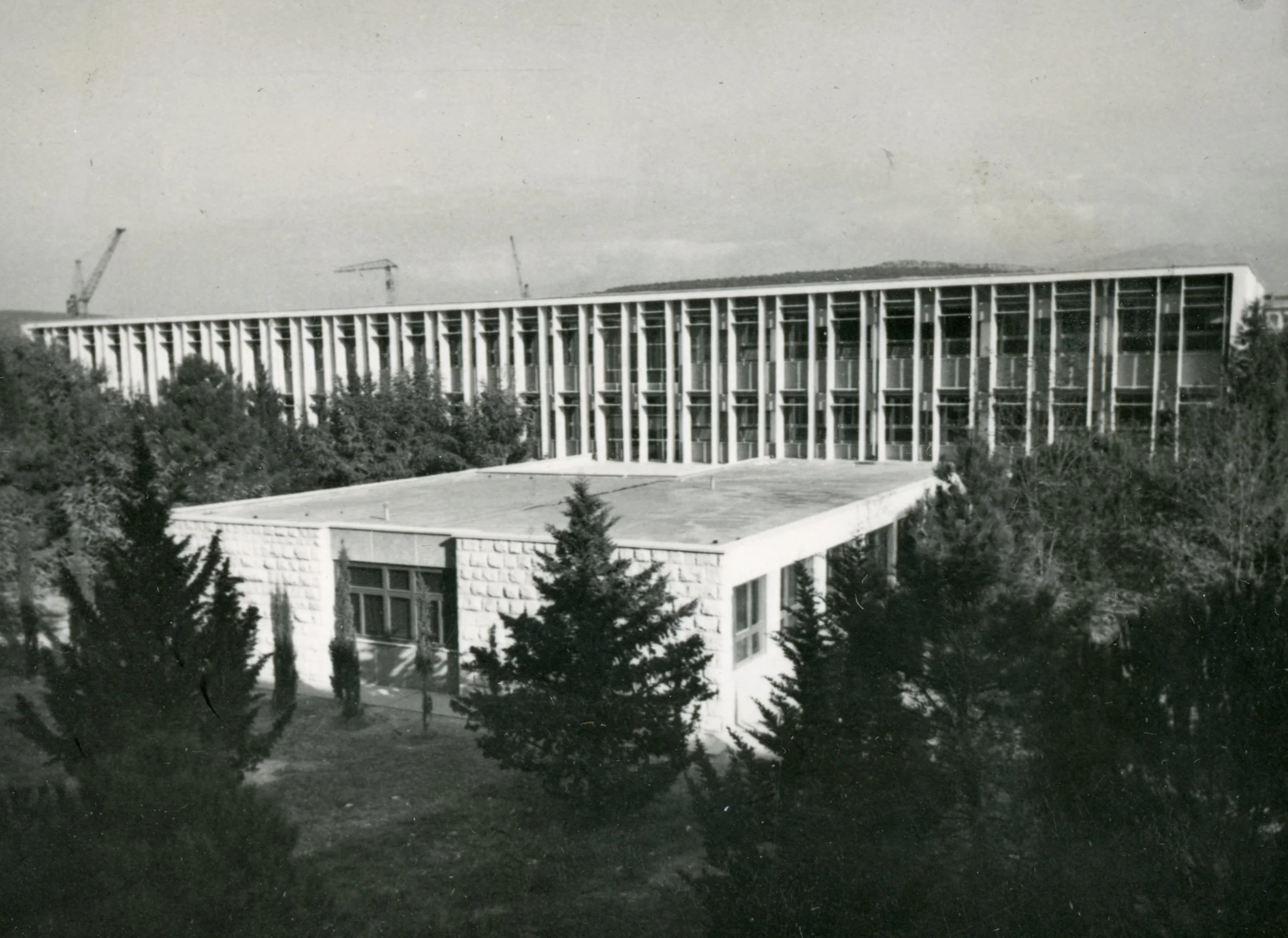 Black and white photo of a modern building under construction with two cranes in the background, surrounded by trees.