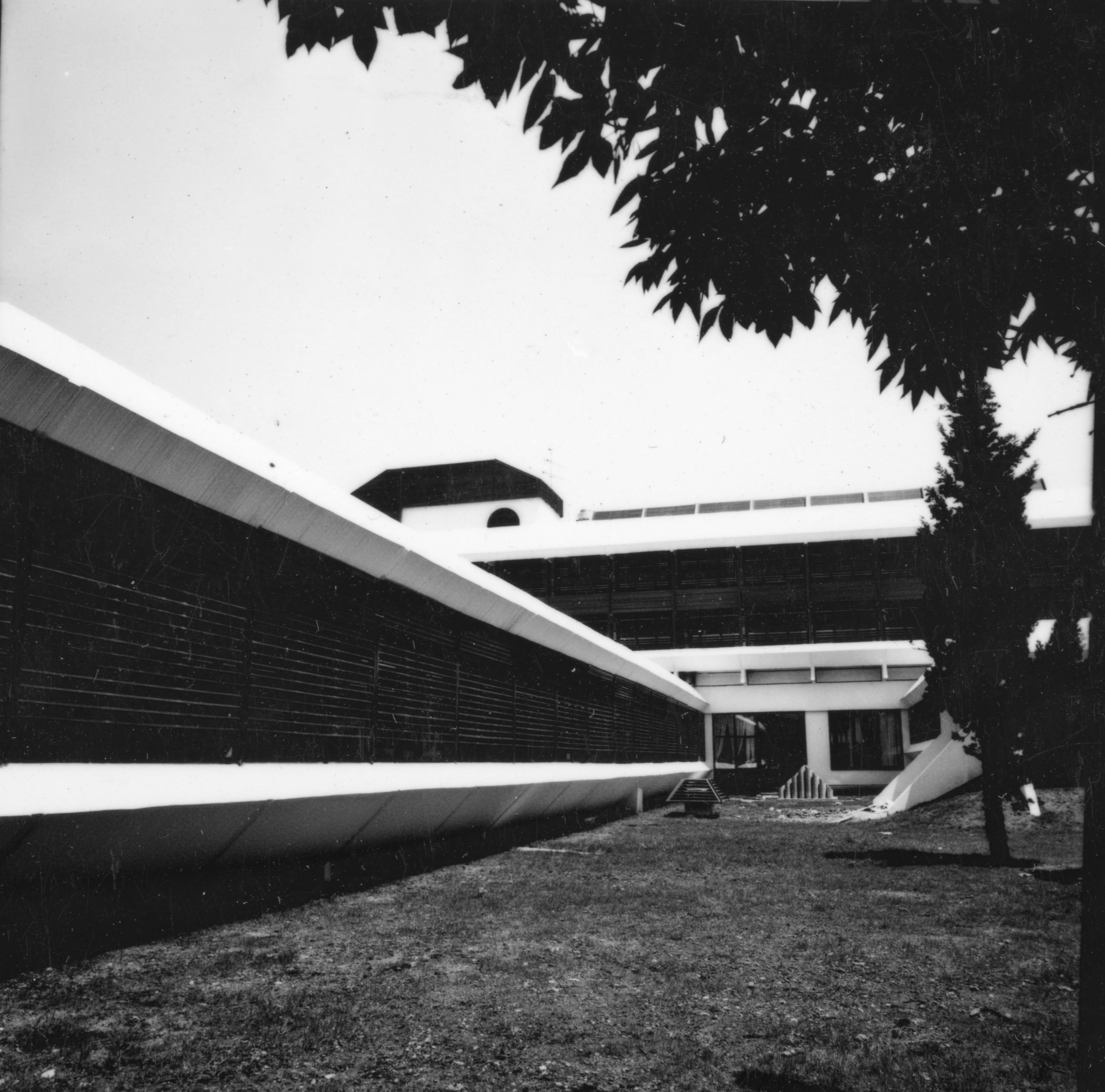 Black and white photograph of a modern building with a flat roof, large windows, and a courtyard surrounded by trees.