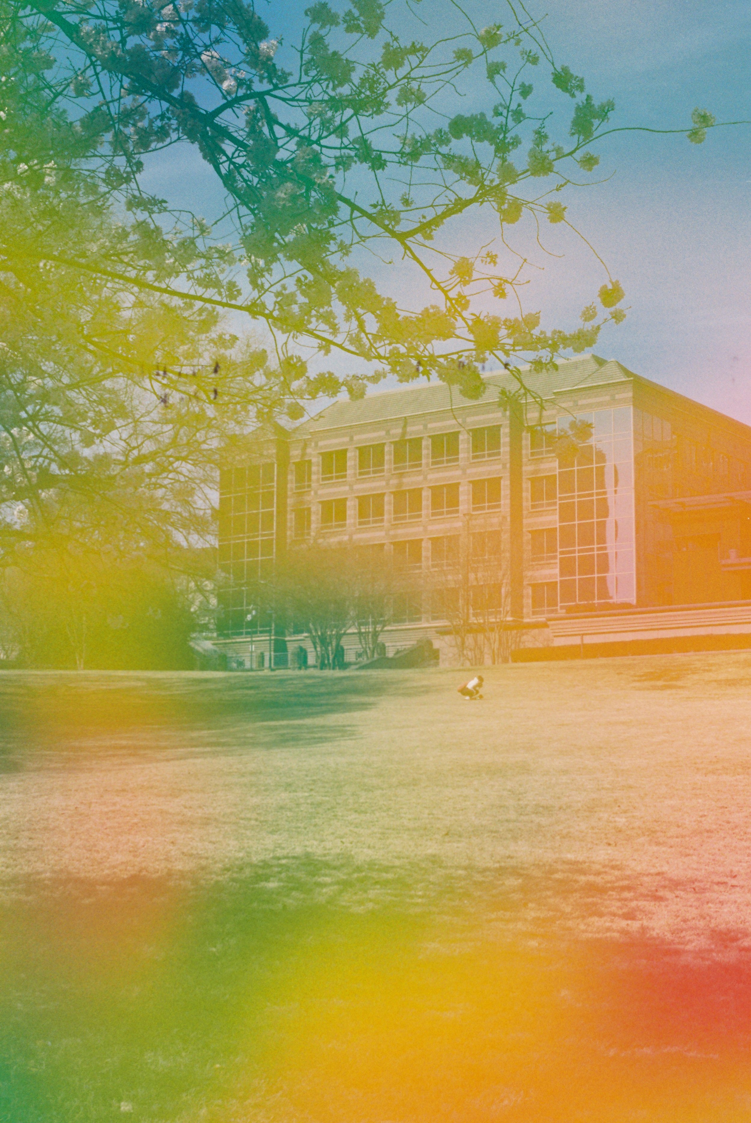 Wireless OBD Car to Phone Interface